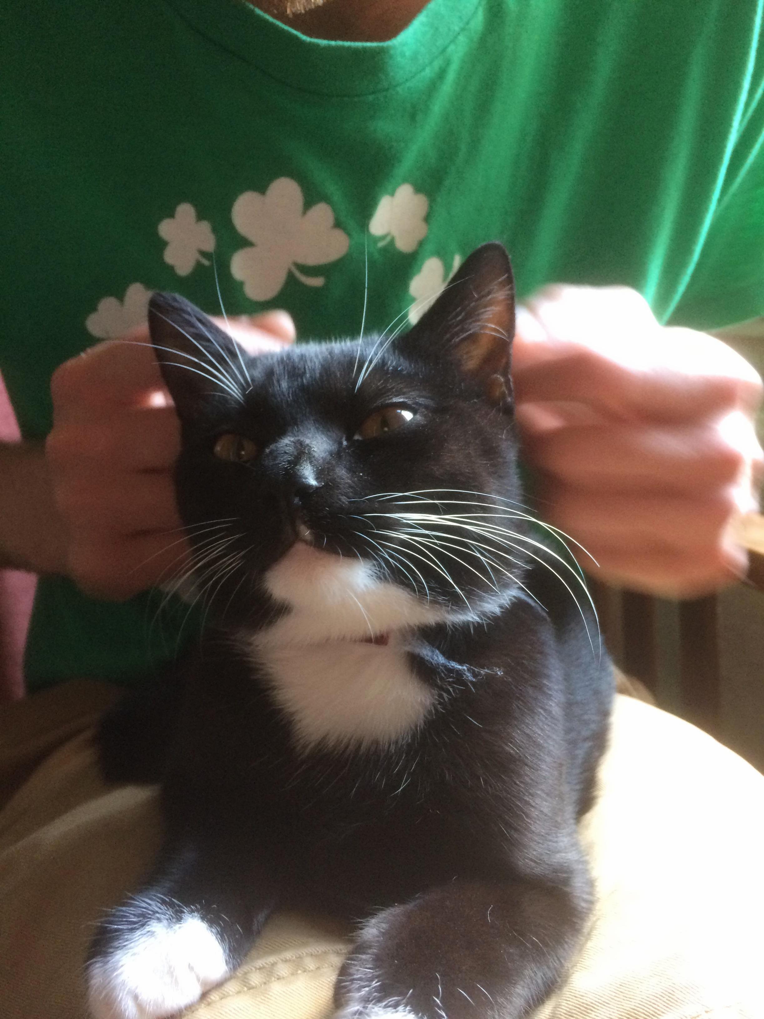 Mmmm - Double Scritches...