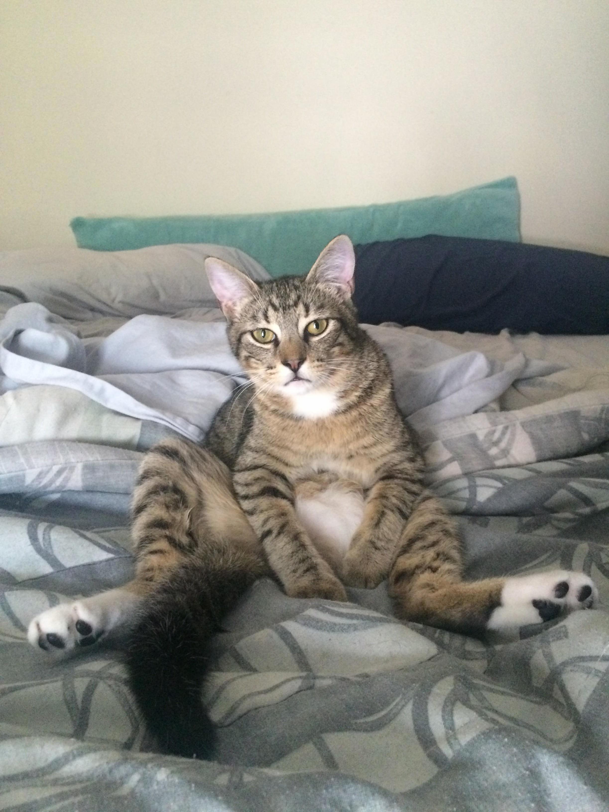 Mornings Are Hard for Percy.