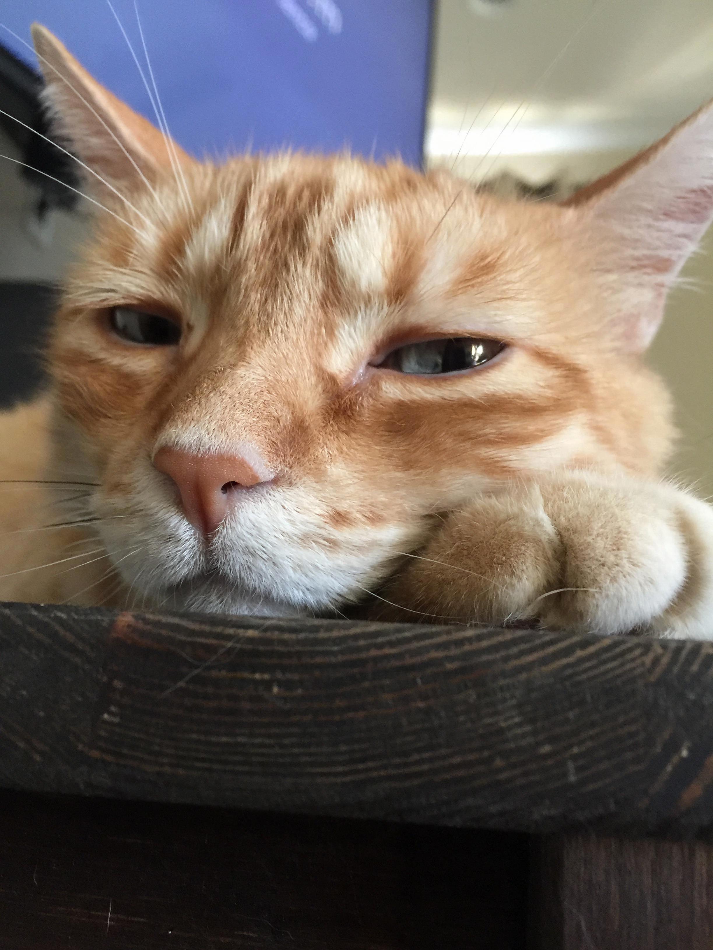 My 13 Yo Handsome Guy.