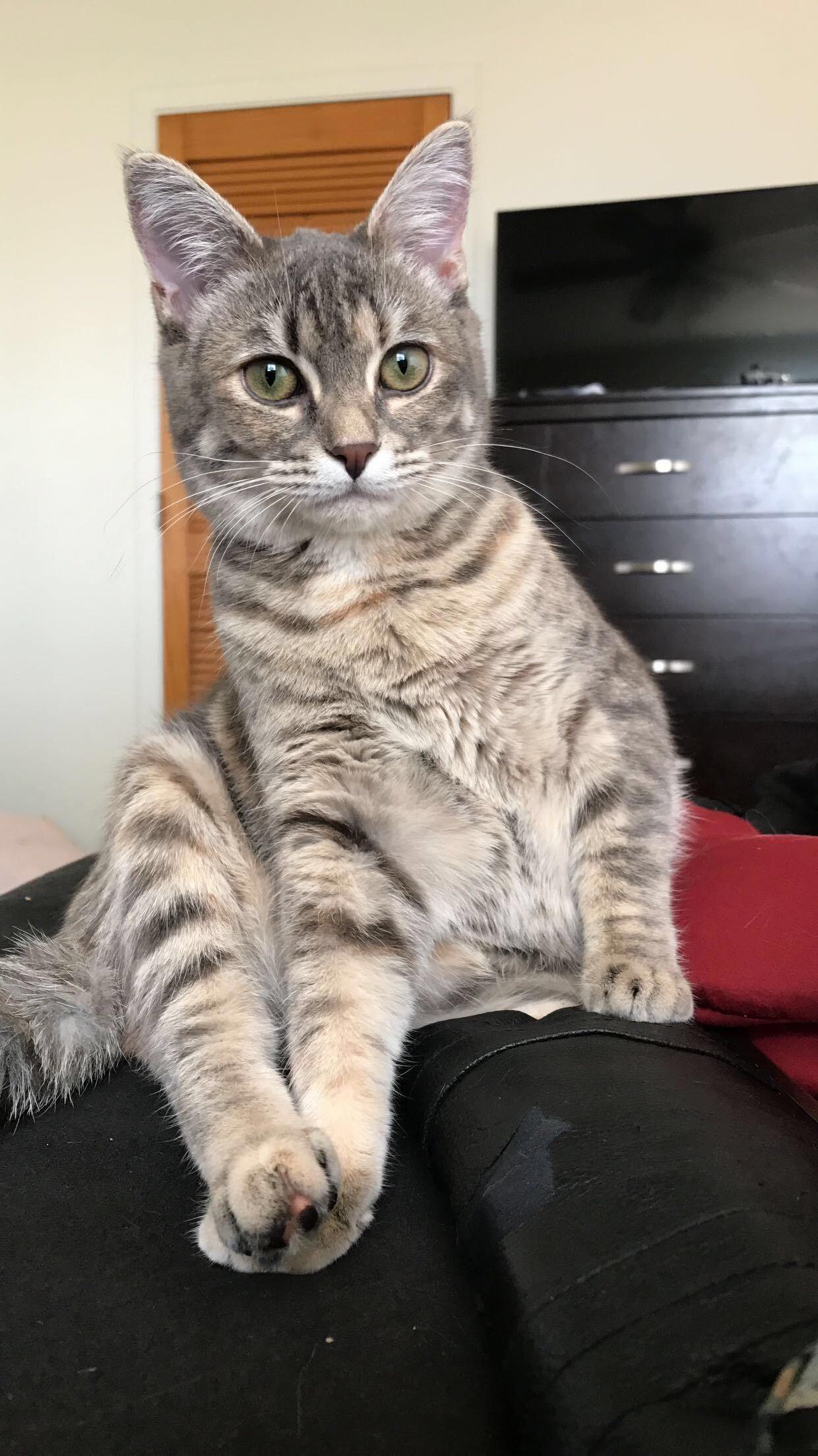 My Baby Girl Porkchop. Shes the Light of My Life