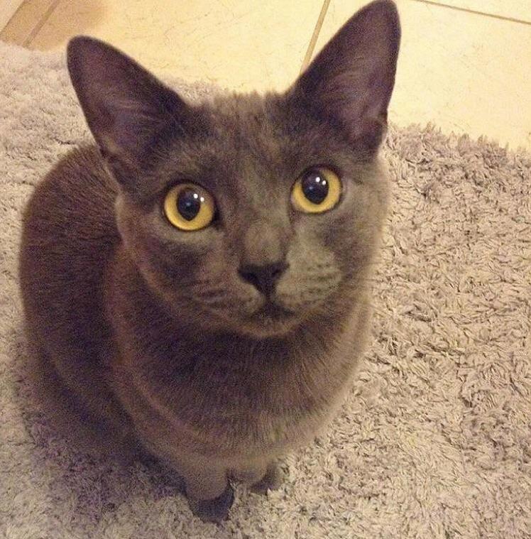 My Bath Time Stalker Luna