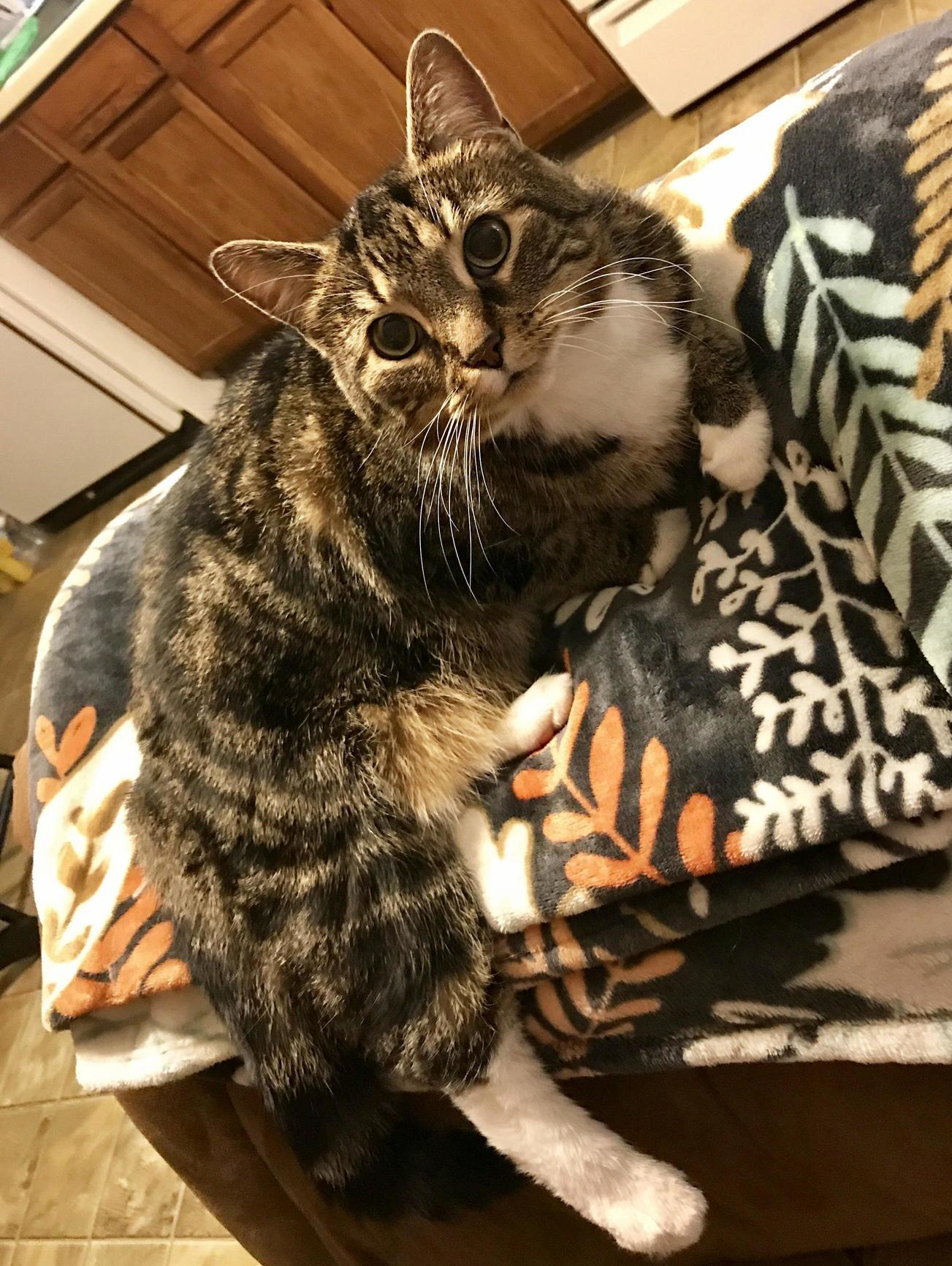 My Beautiful Sweet Dee.