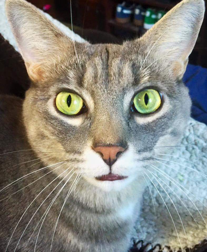 My Boy Stark.
