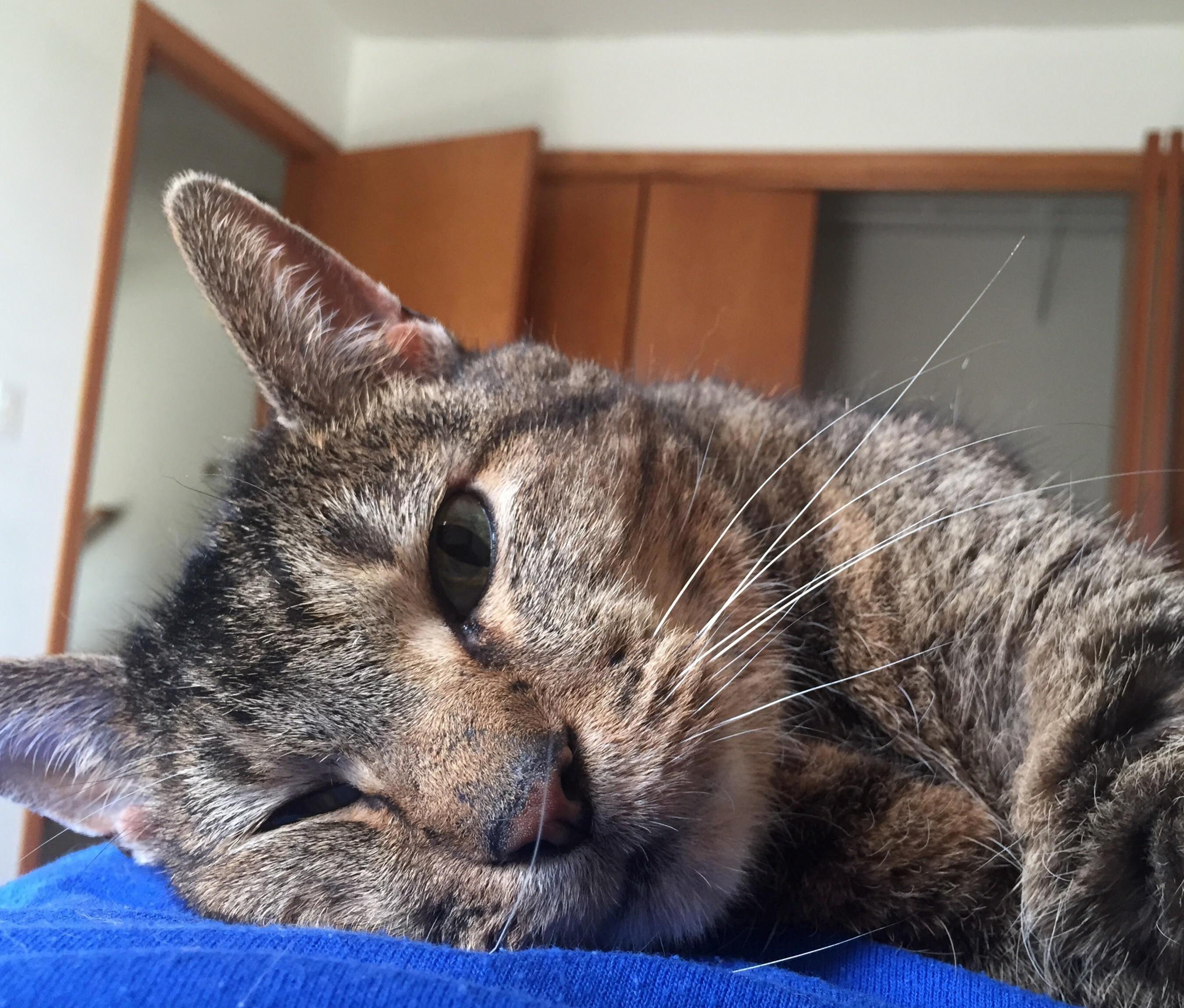 My Cute Girl with Her Pink Nose