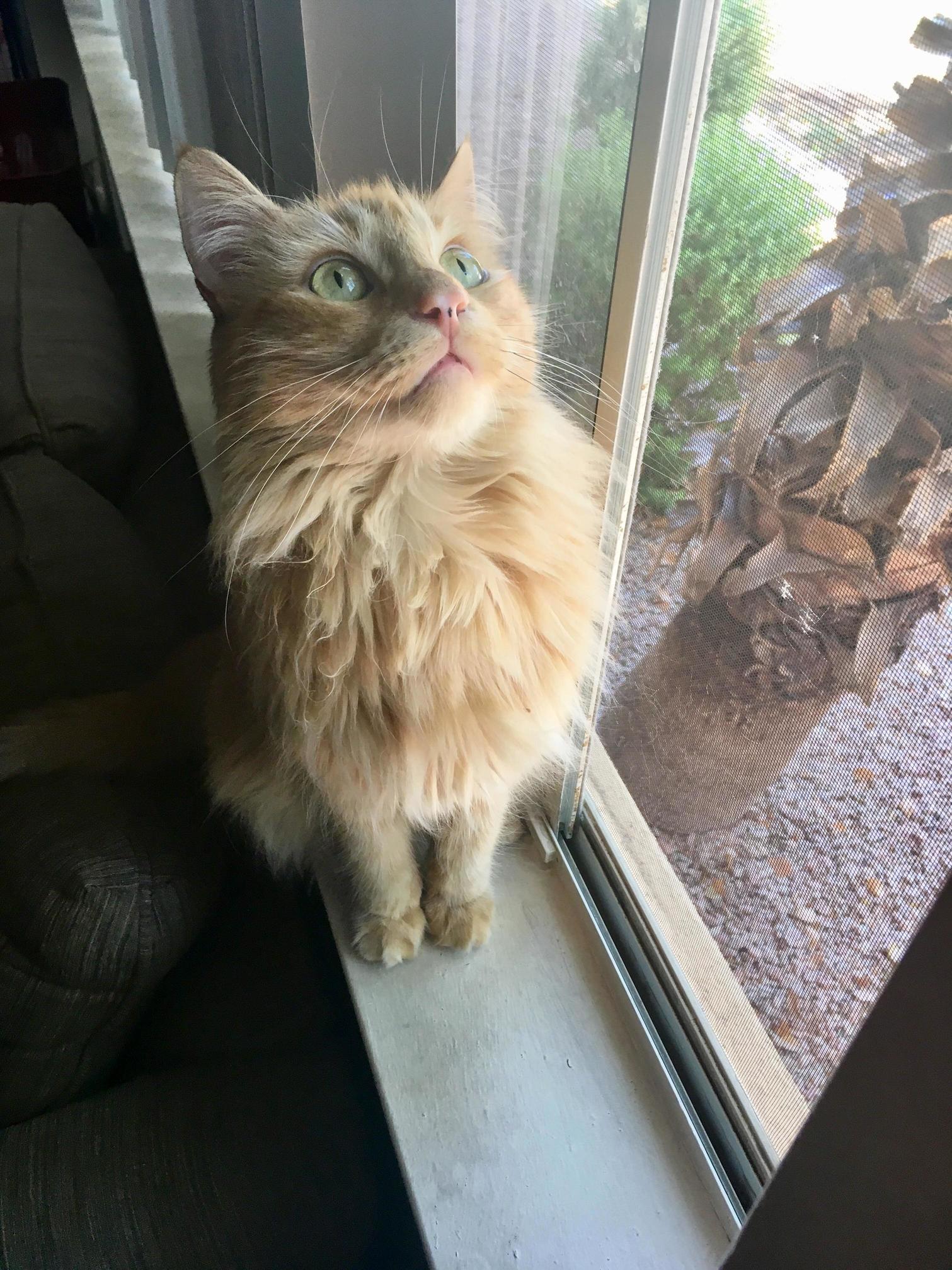 My Handsome Boy Leo