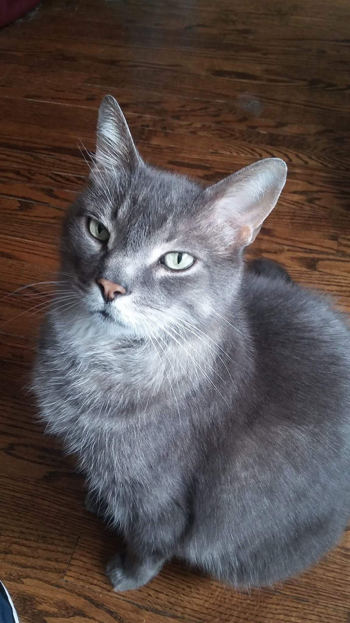 My Old Man Zeus Is Tired of My Shit Today.