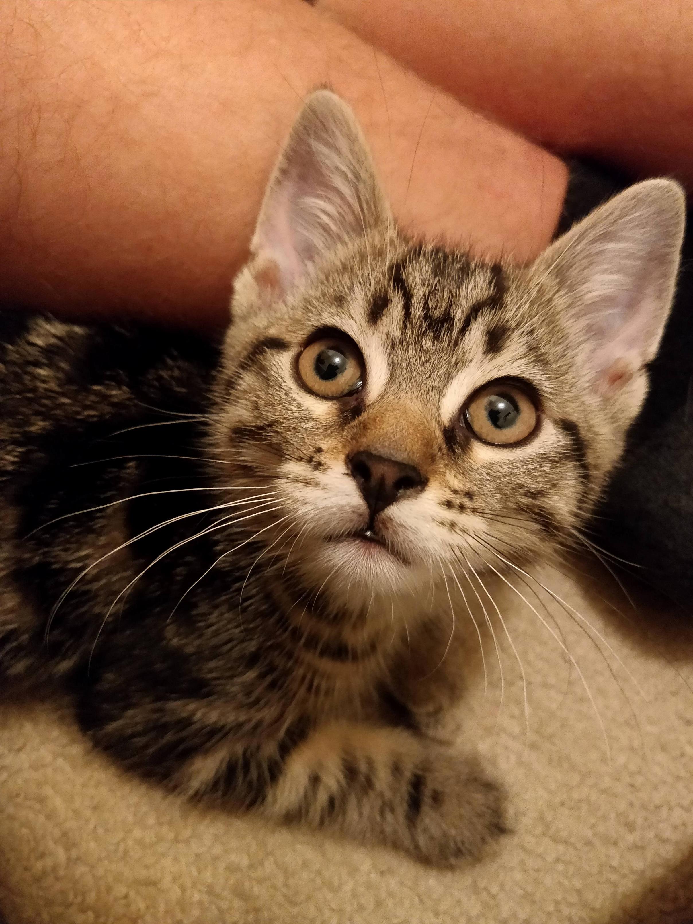 New Addition to the Family