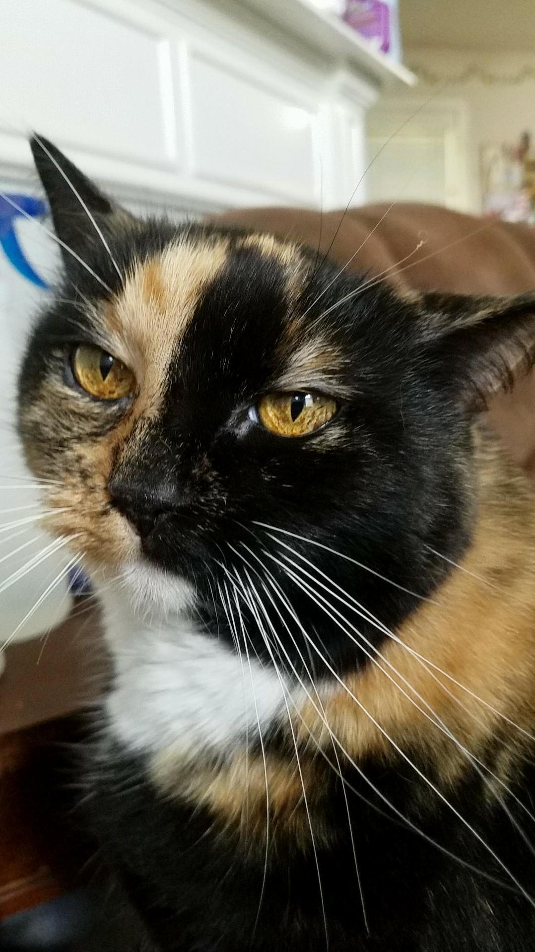 No Please Look More Annoyed Lily