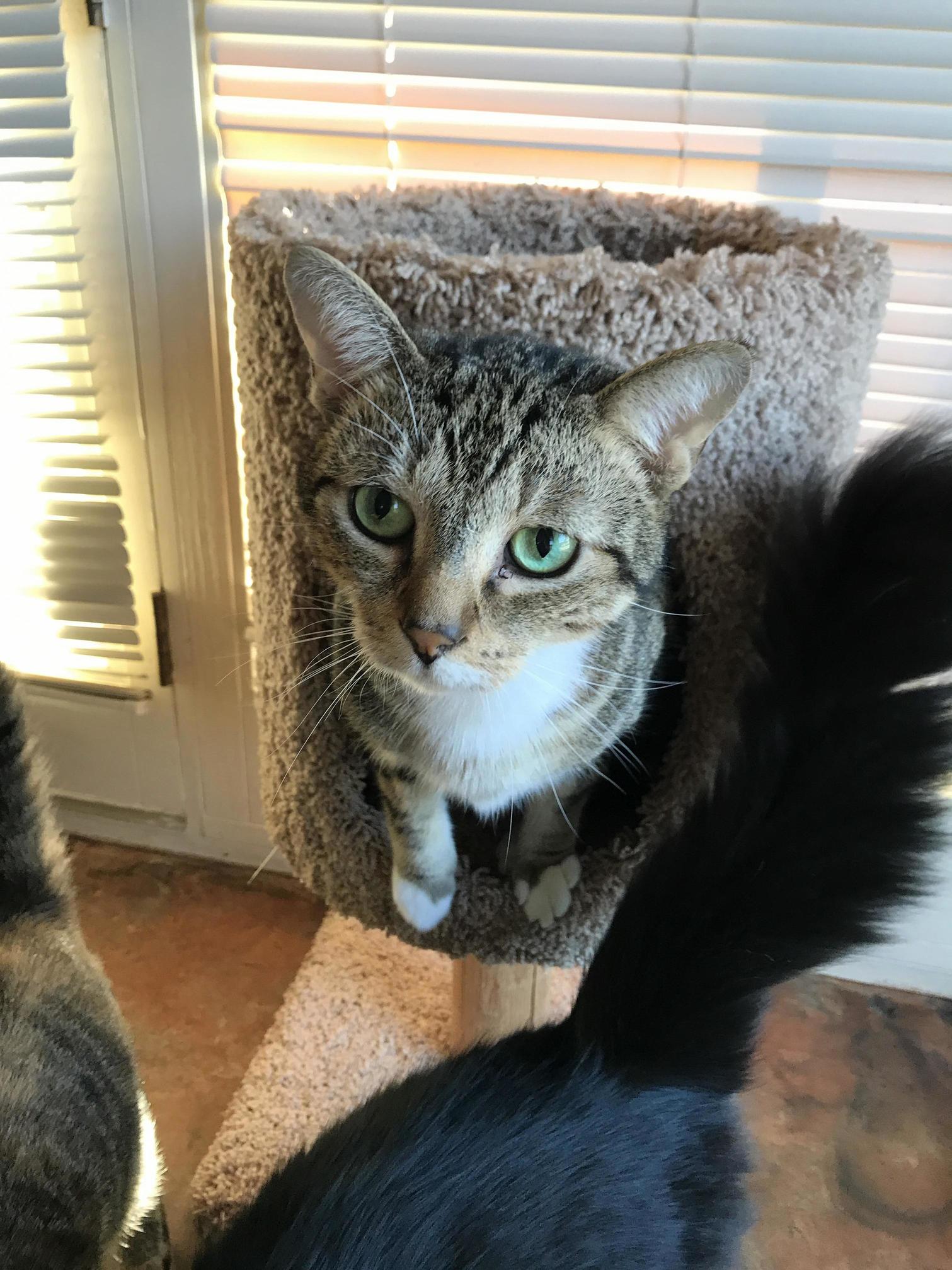 Now You See Me a Hiding