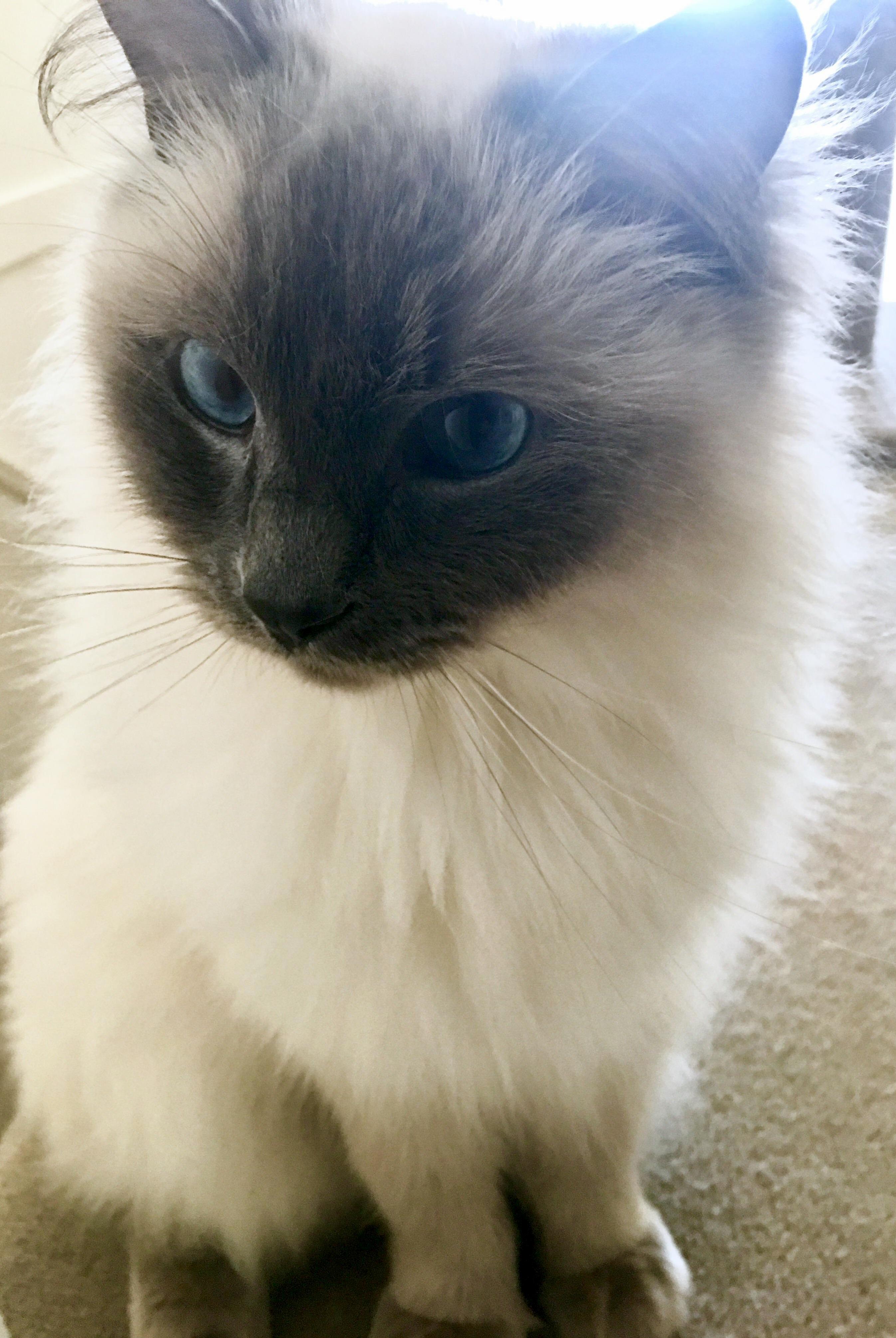 Our Little Yoshi Just Want to Say Hi