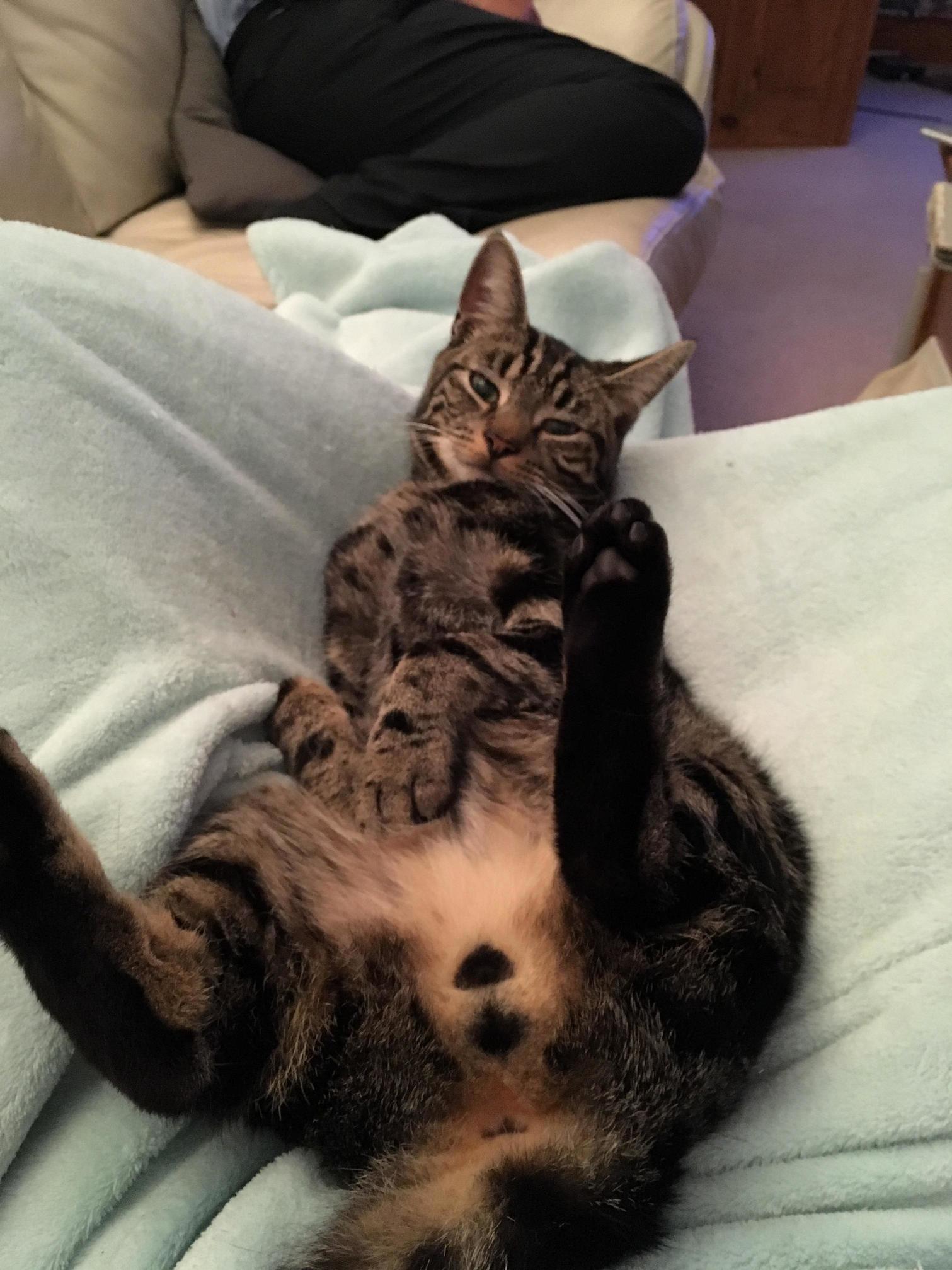 Paint Me Like One of Your French Girls