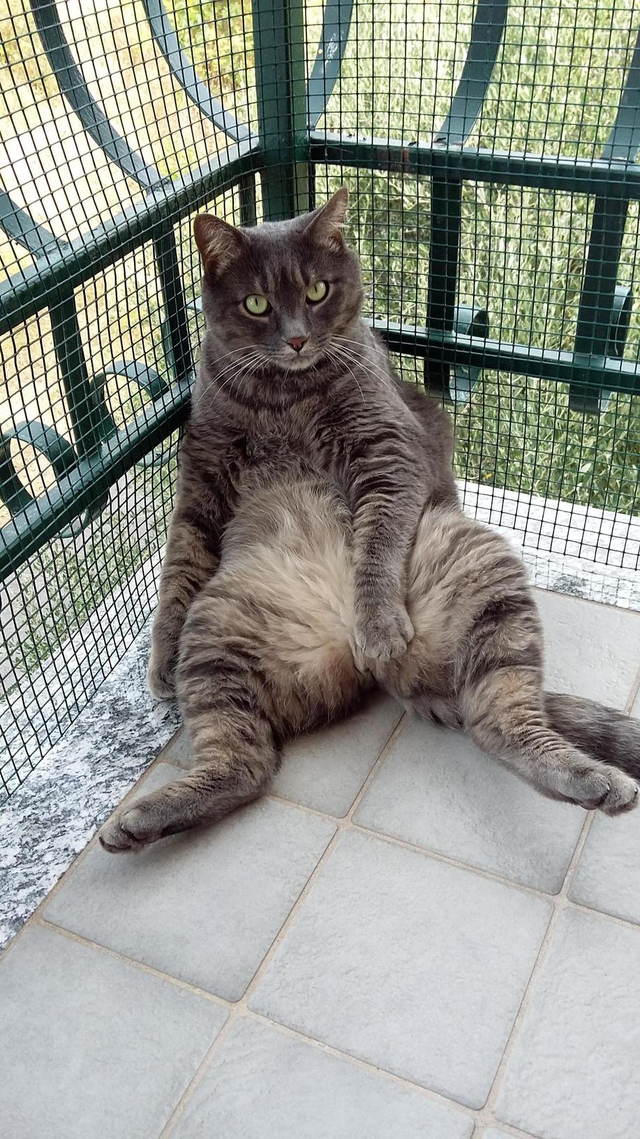 Posing for a Calendar