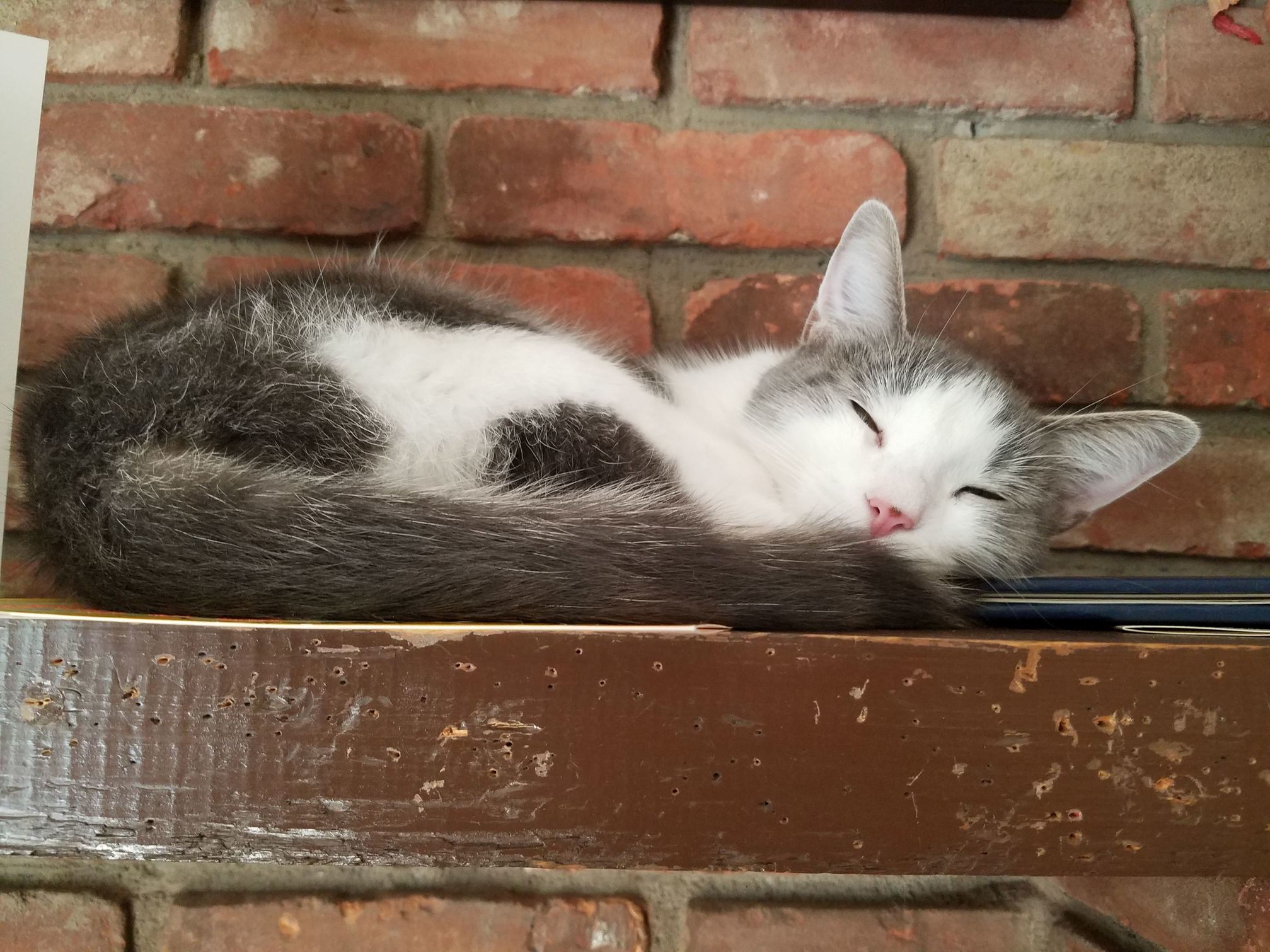 Precious