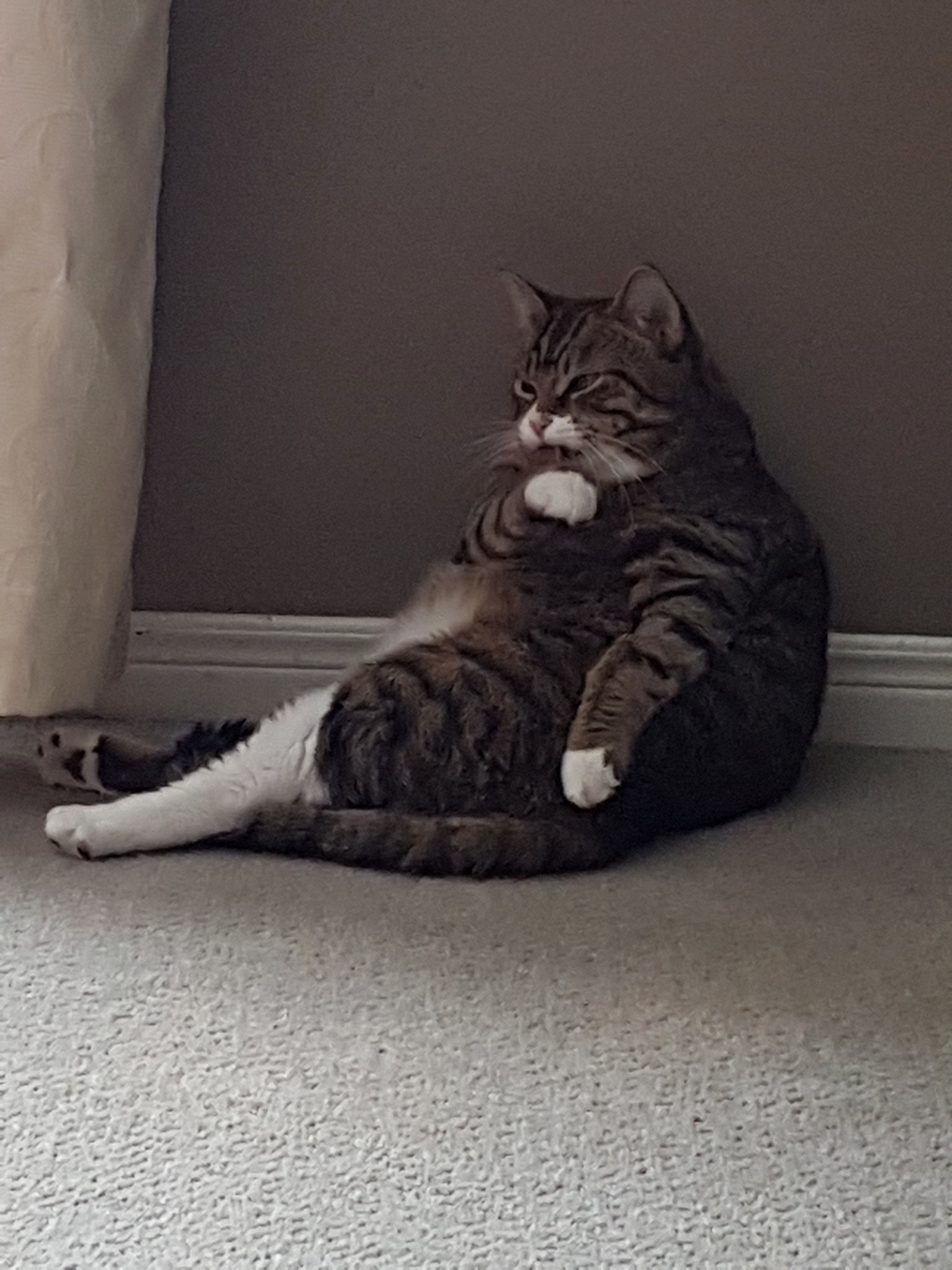 Pudge Being Pudge. I Wish the World Could Enjoy a Little Pudge Like a Coke.