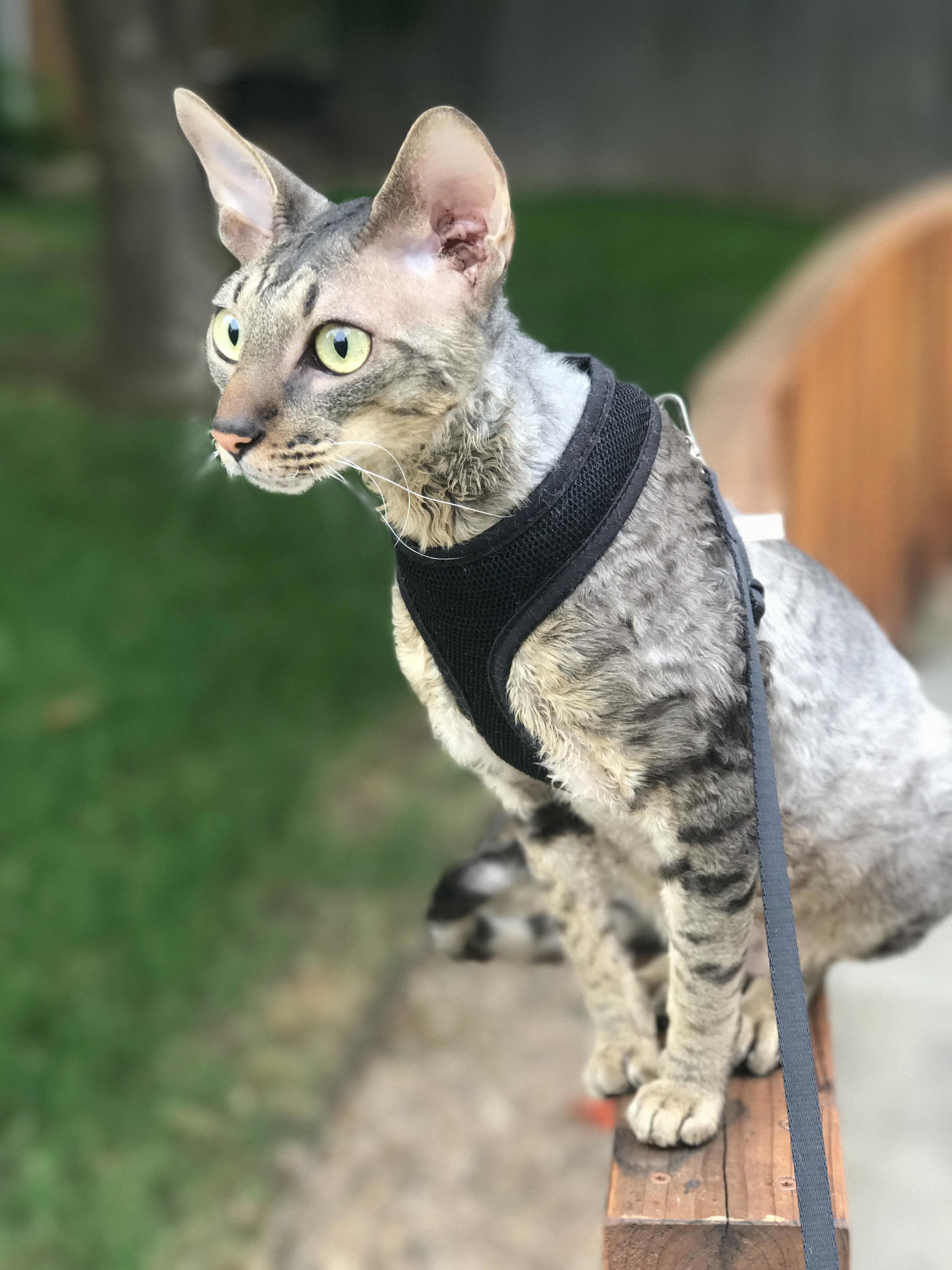 Ready for Action