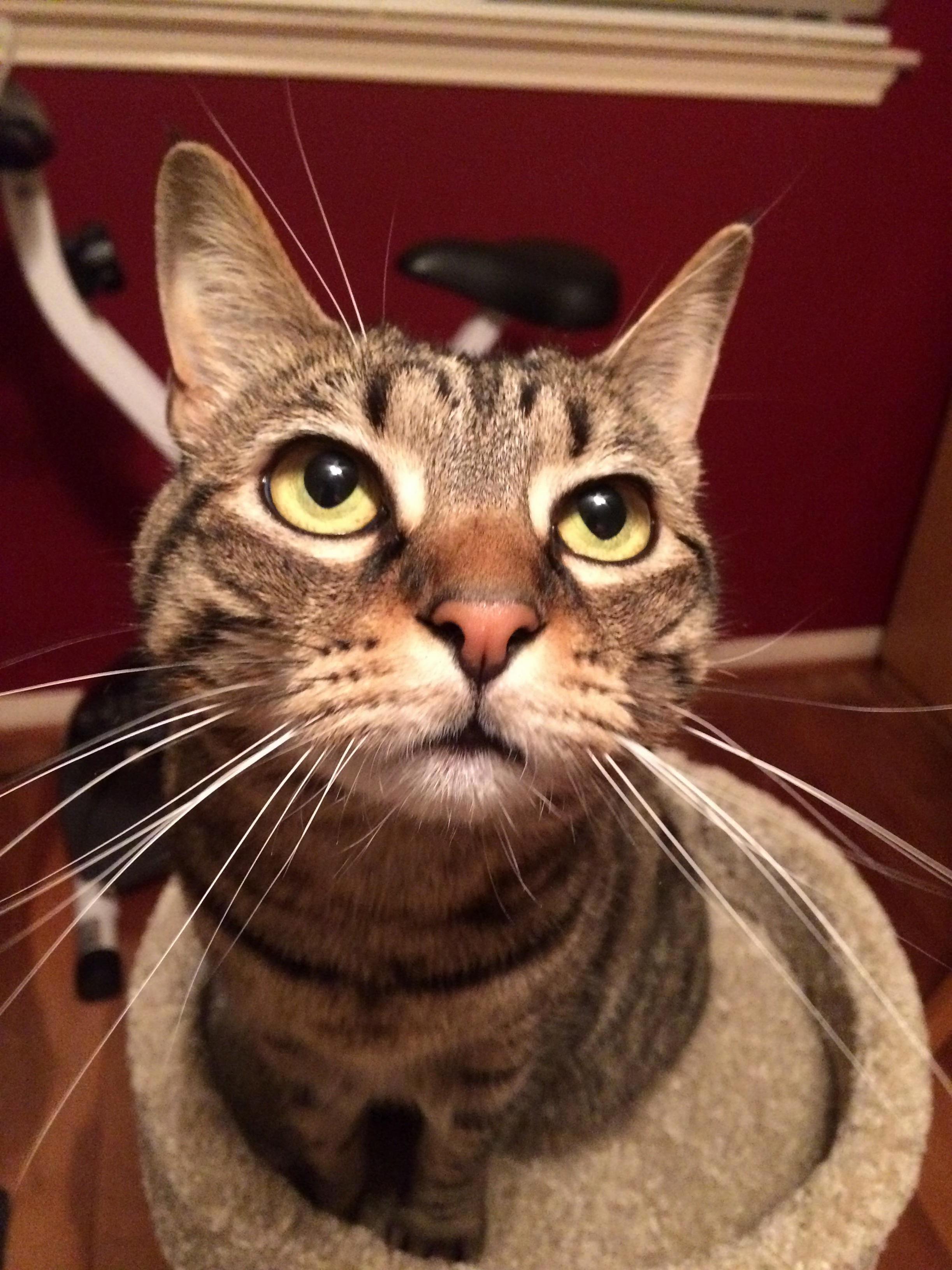 Ready for My Close-up