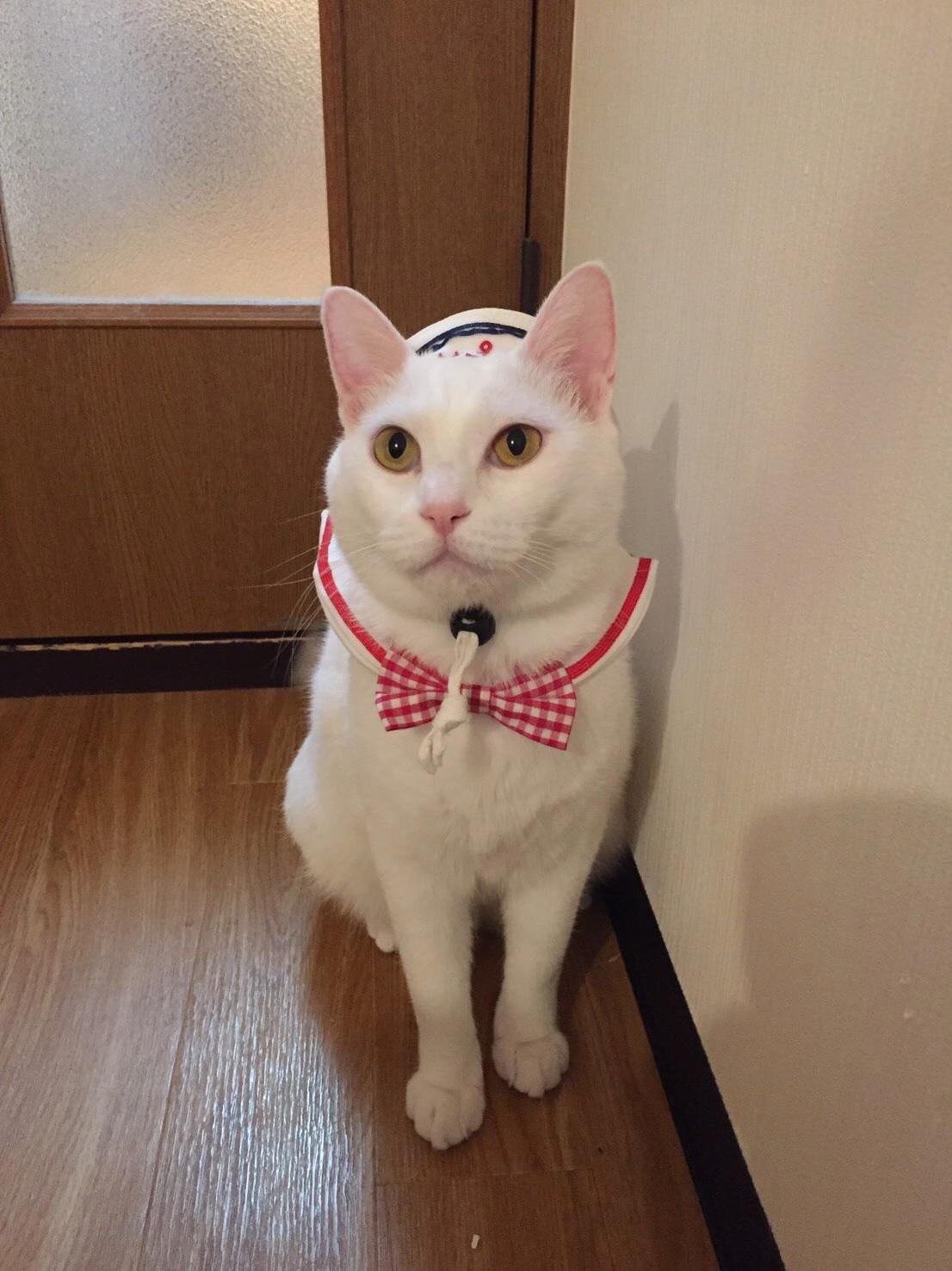 Sailor Alice Before She Ships Off for Duty
