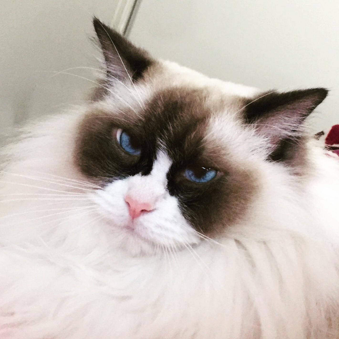 She Always Makes This Face When I Take a Photo