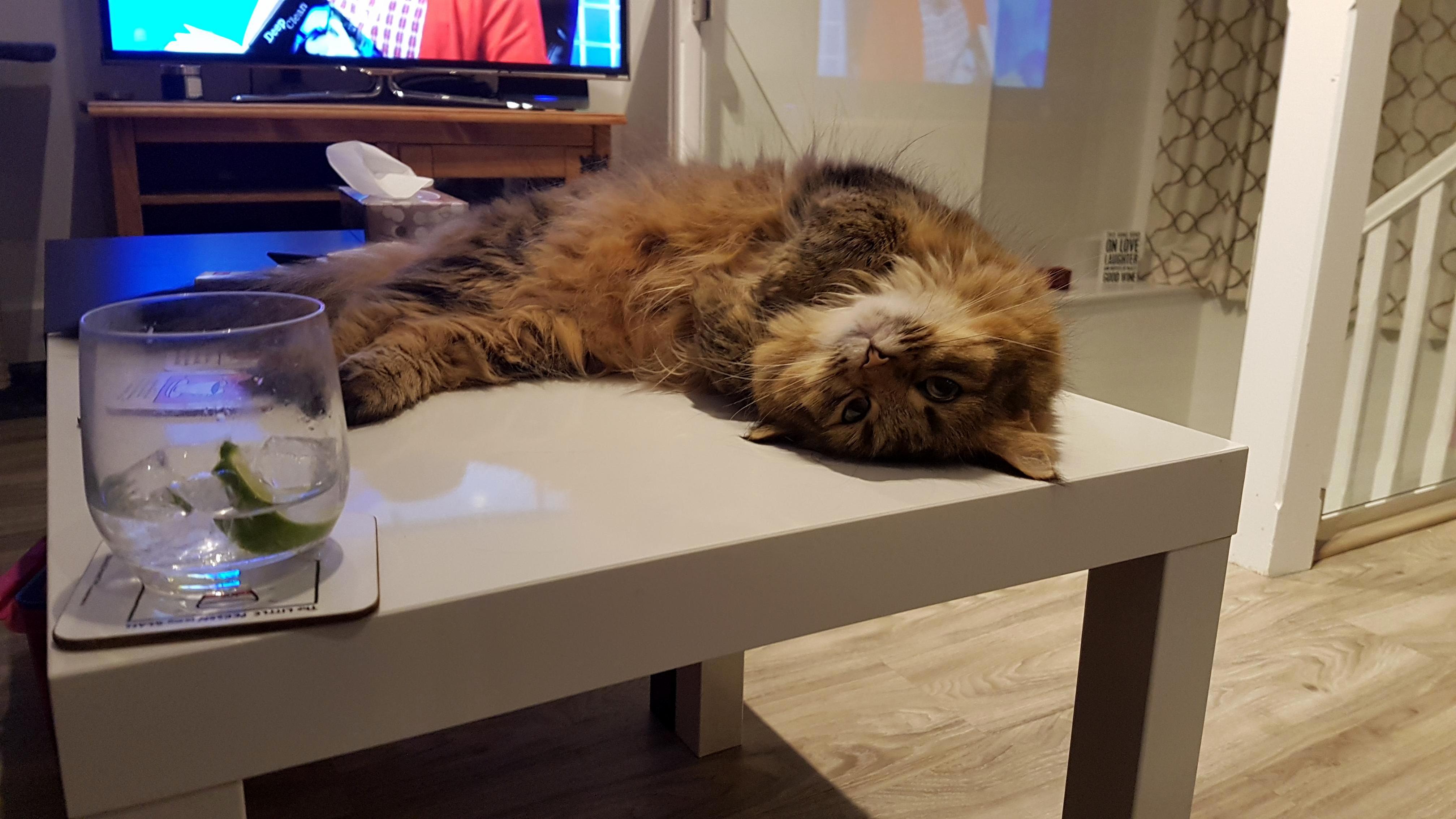 She Knows Shes Cute