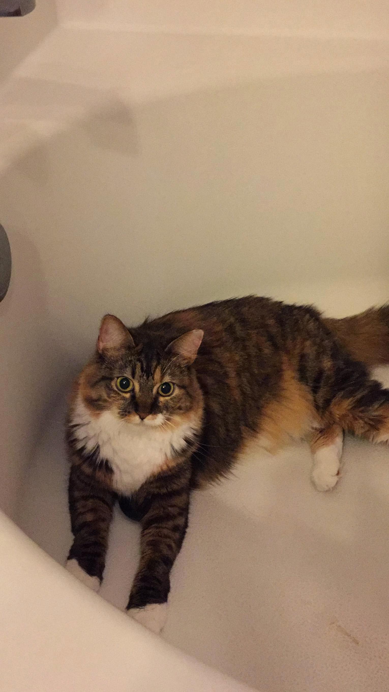 She Thinks Its Shower Time Whenever Someone Goes in the Bathroom
