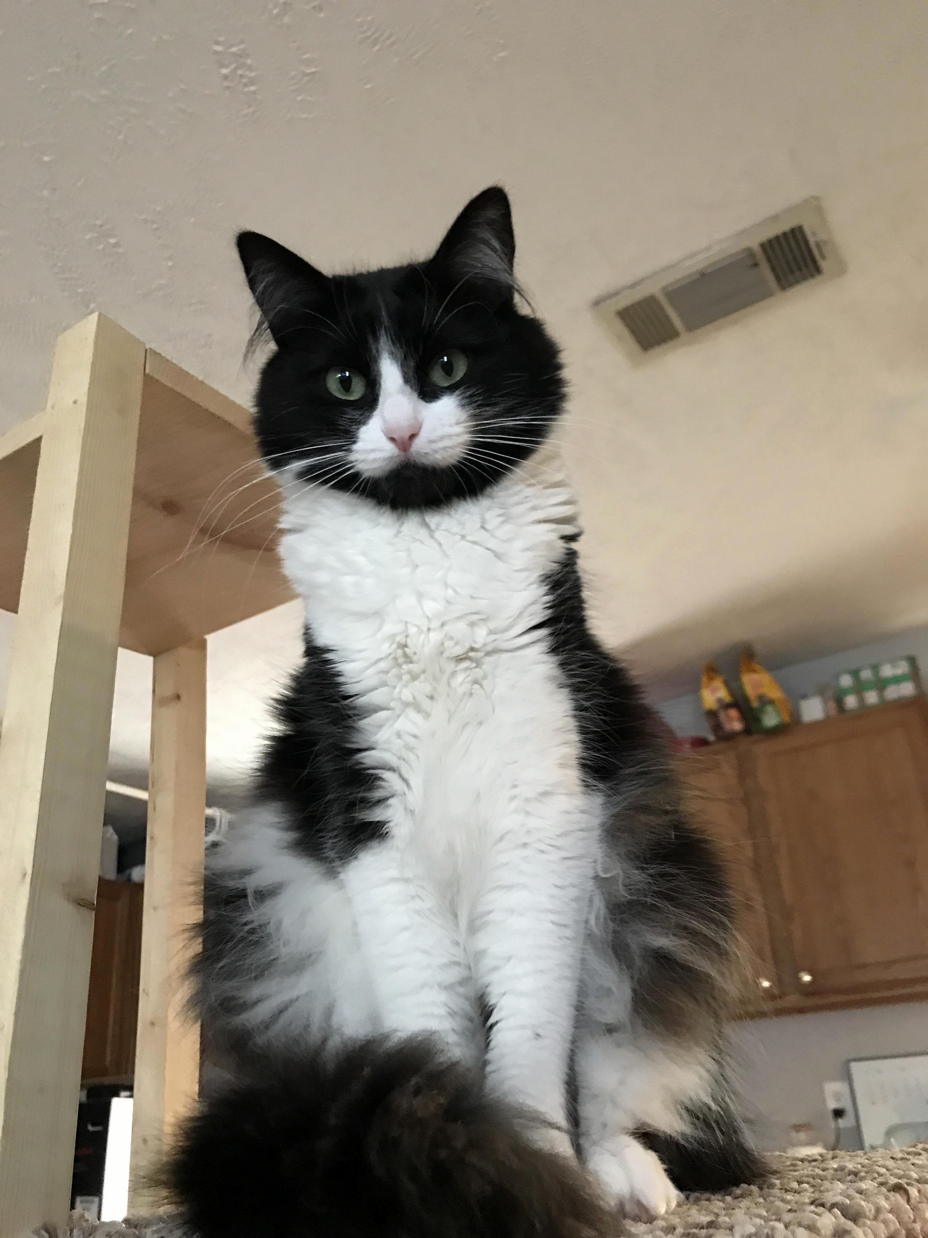Shes Waiting on Me to Drop a Crumb