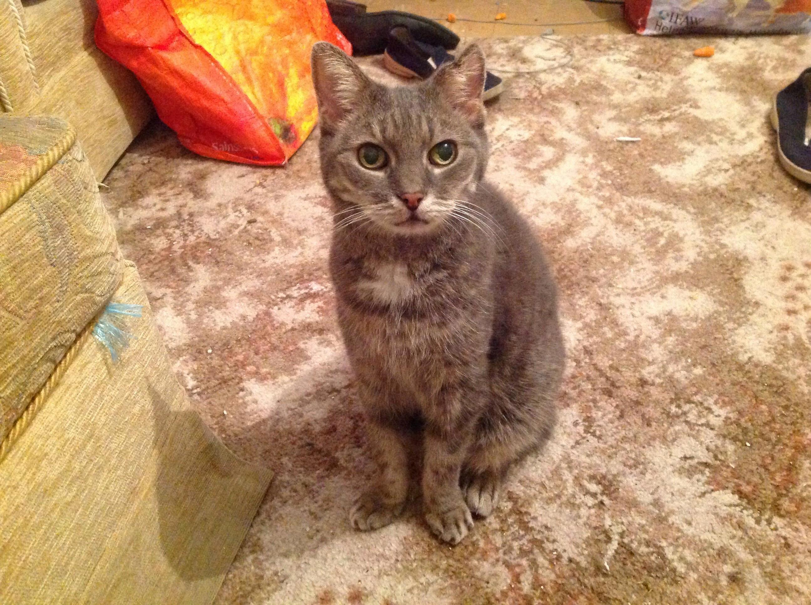 Silver 17 Years Young