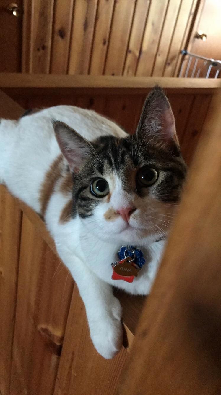 So... Can I Come in