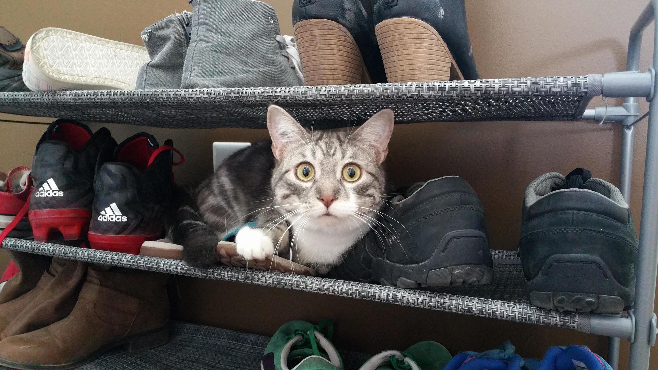 Staring Into Your Soul