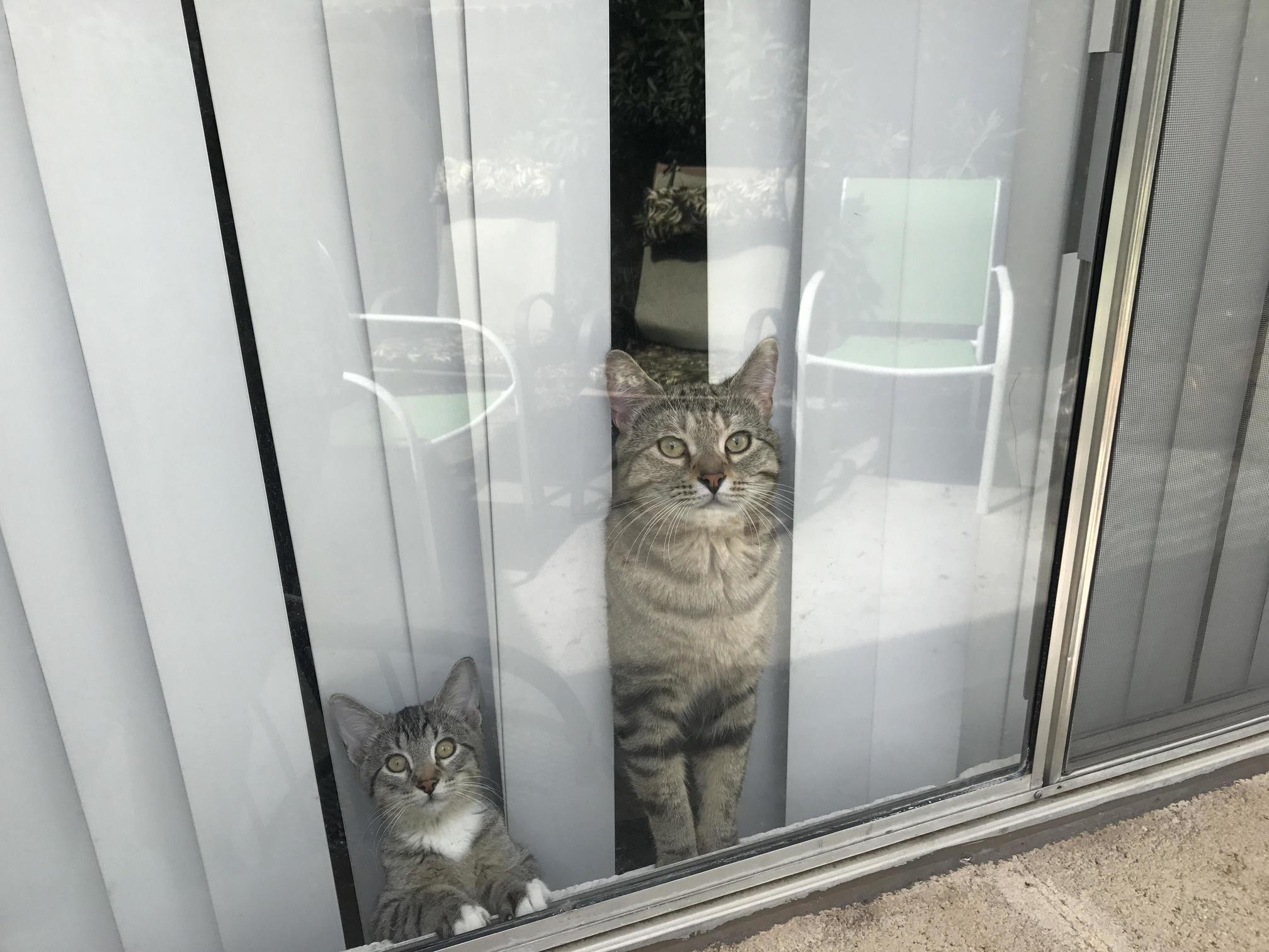 Sterling and Charles Say Hello