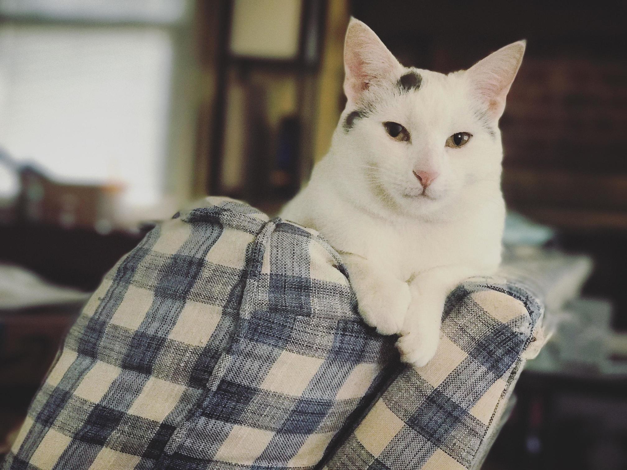 Sup