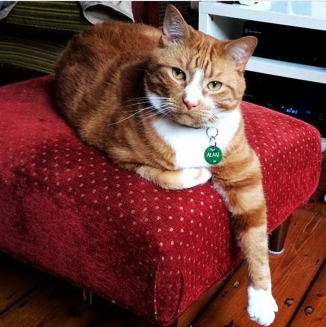 The Lad