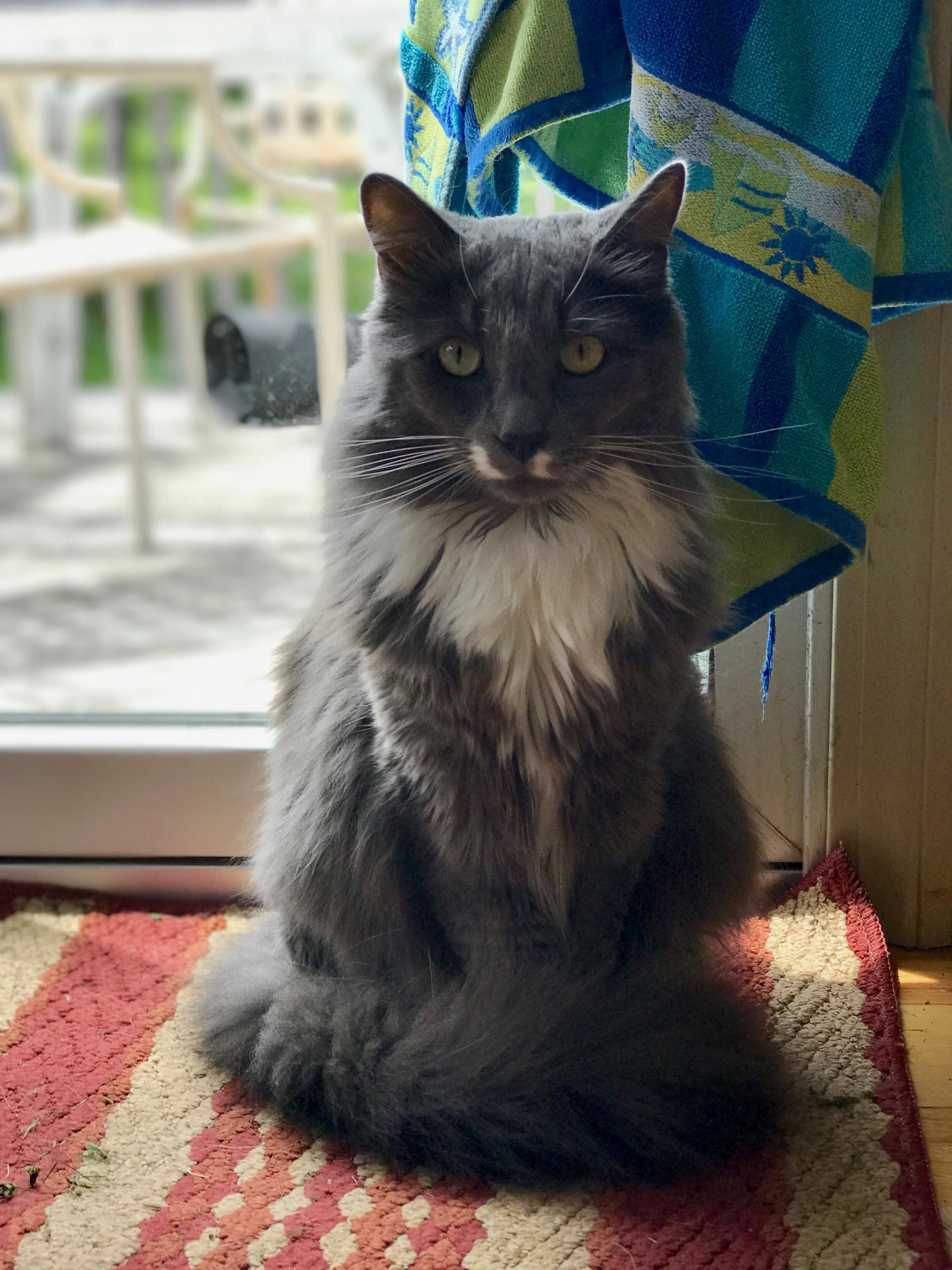 The Majestic Edgar