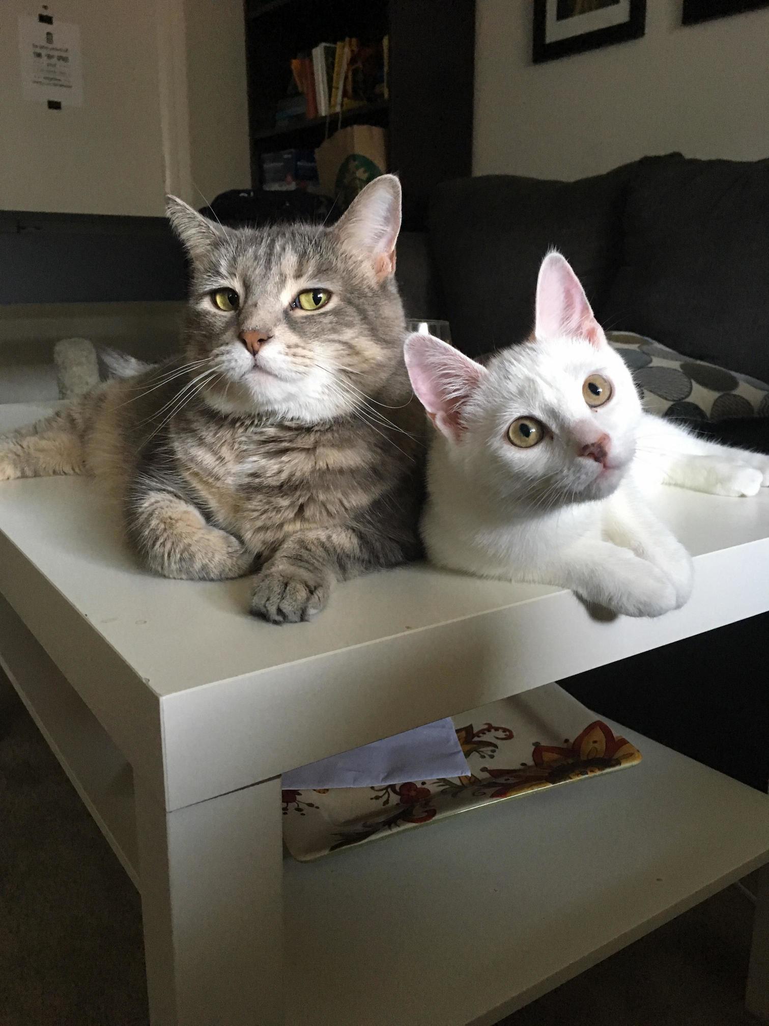 Their Personalities Summed Up Perfectly