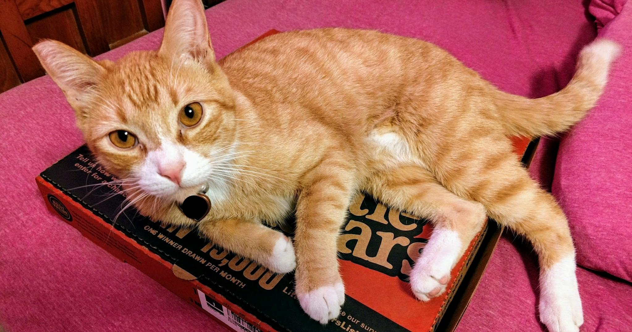 There Are 3 Slices Left You Jerk