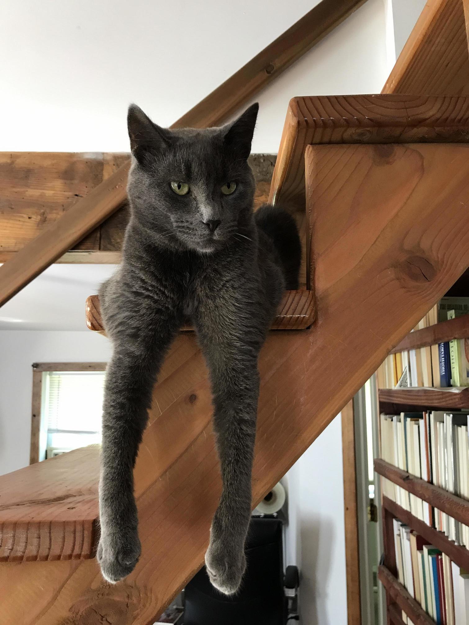 This Is How Lightning Likes to Chill.
