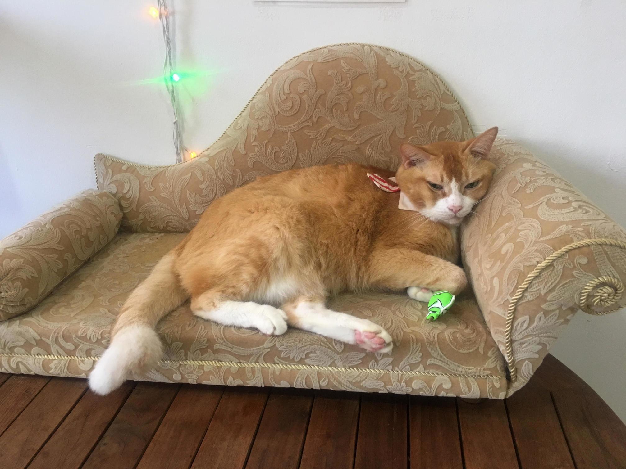 This Is My Throne