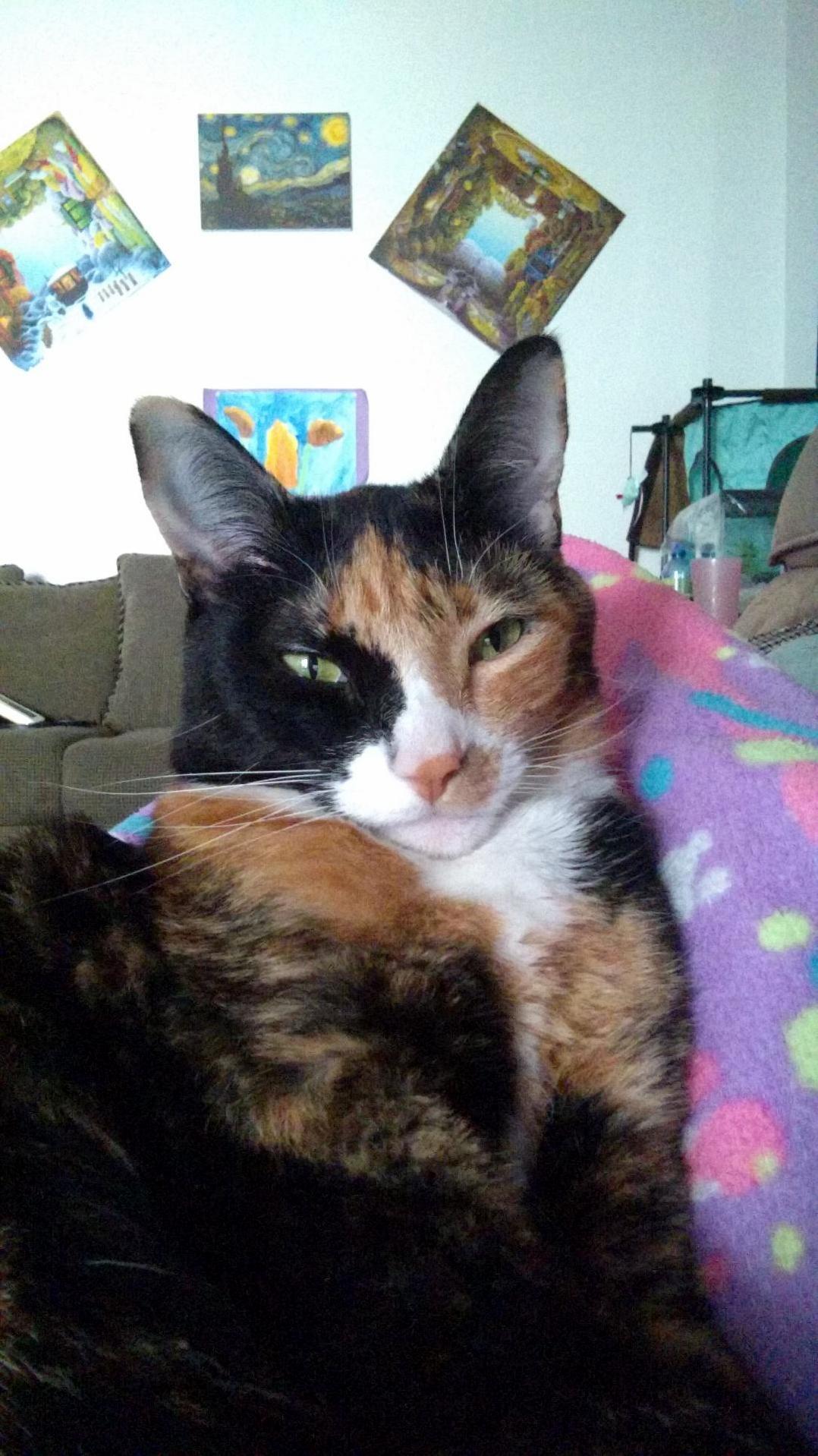 This Is Sam Shes So Beautiful