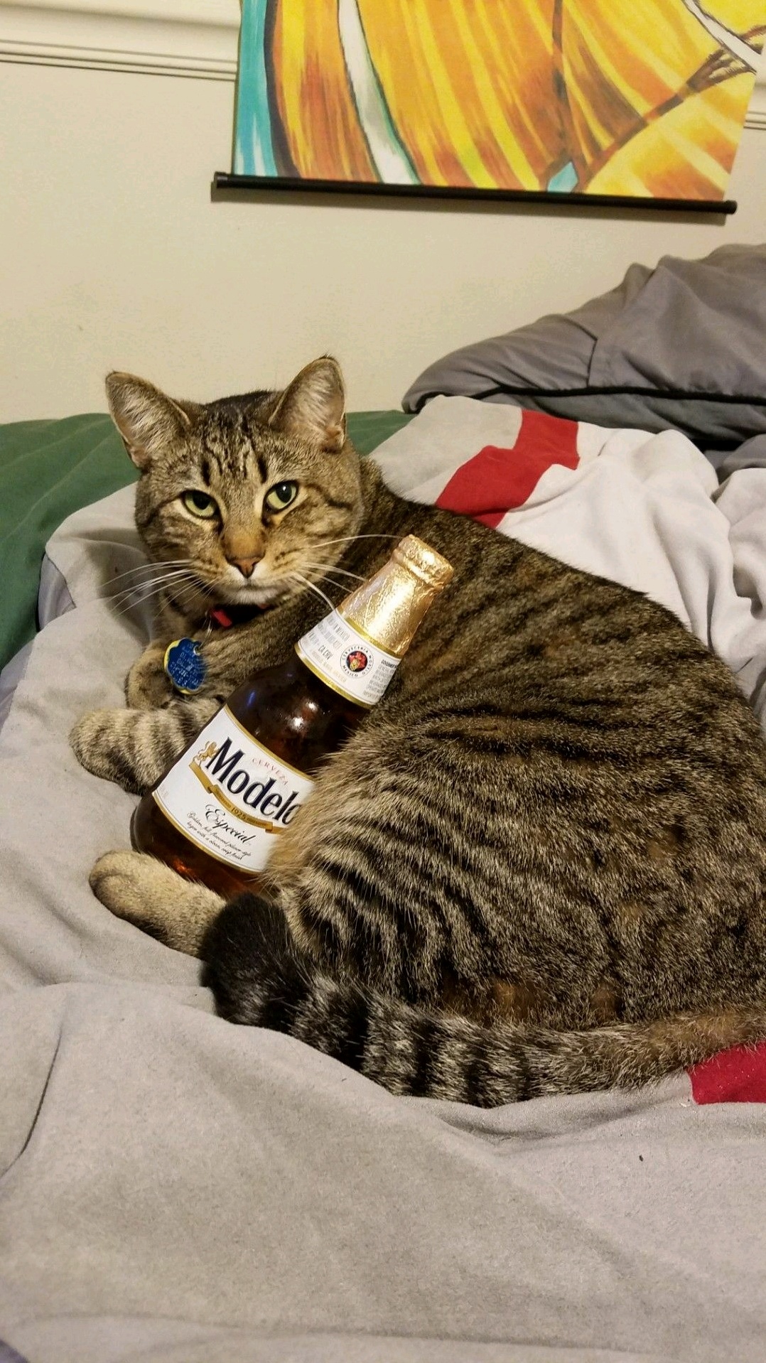 Tina Loca