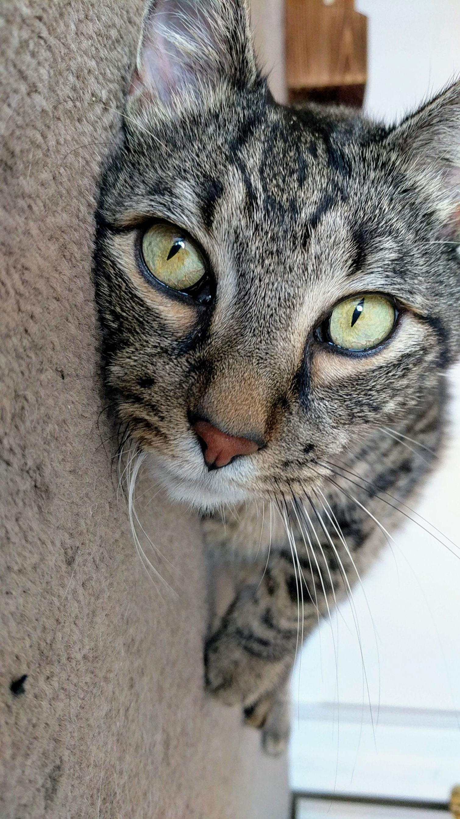 Trey Looking So Handsome