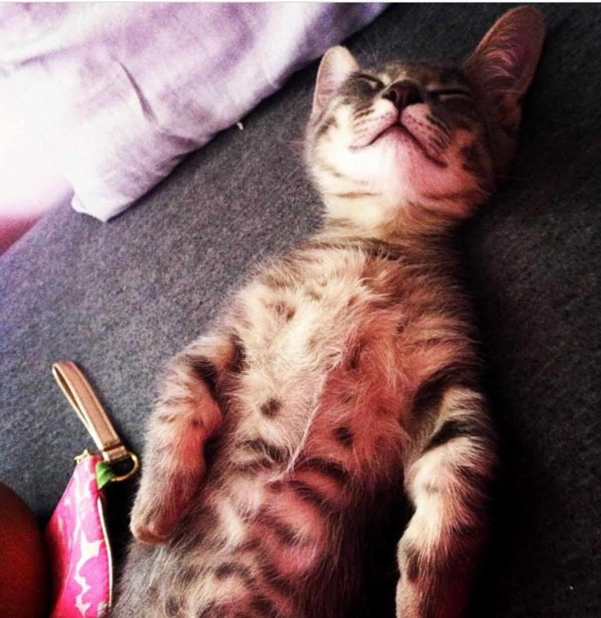 Tyrion Just Turned Four Thought ID Share a Picture from the Week He Came Home