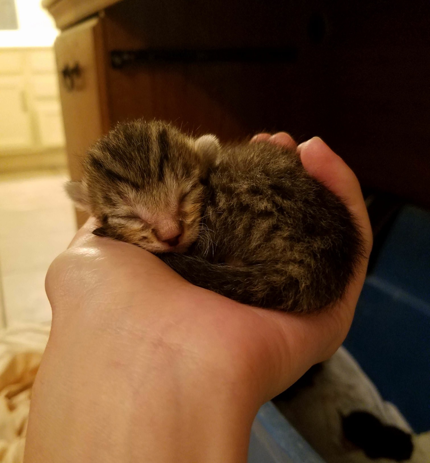 Welcome to the World Little Guy