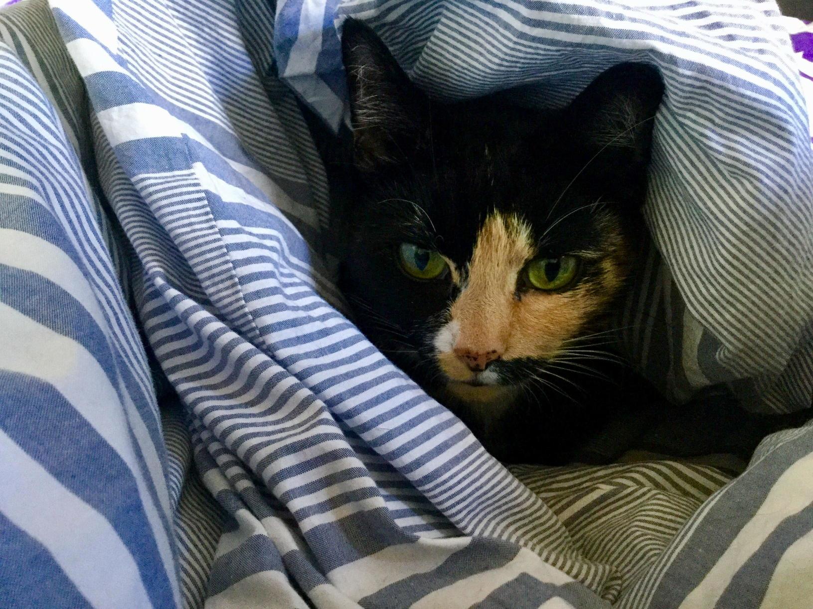 What Do You Mean Its Not Saturday Yet