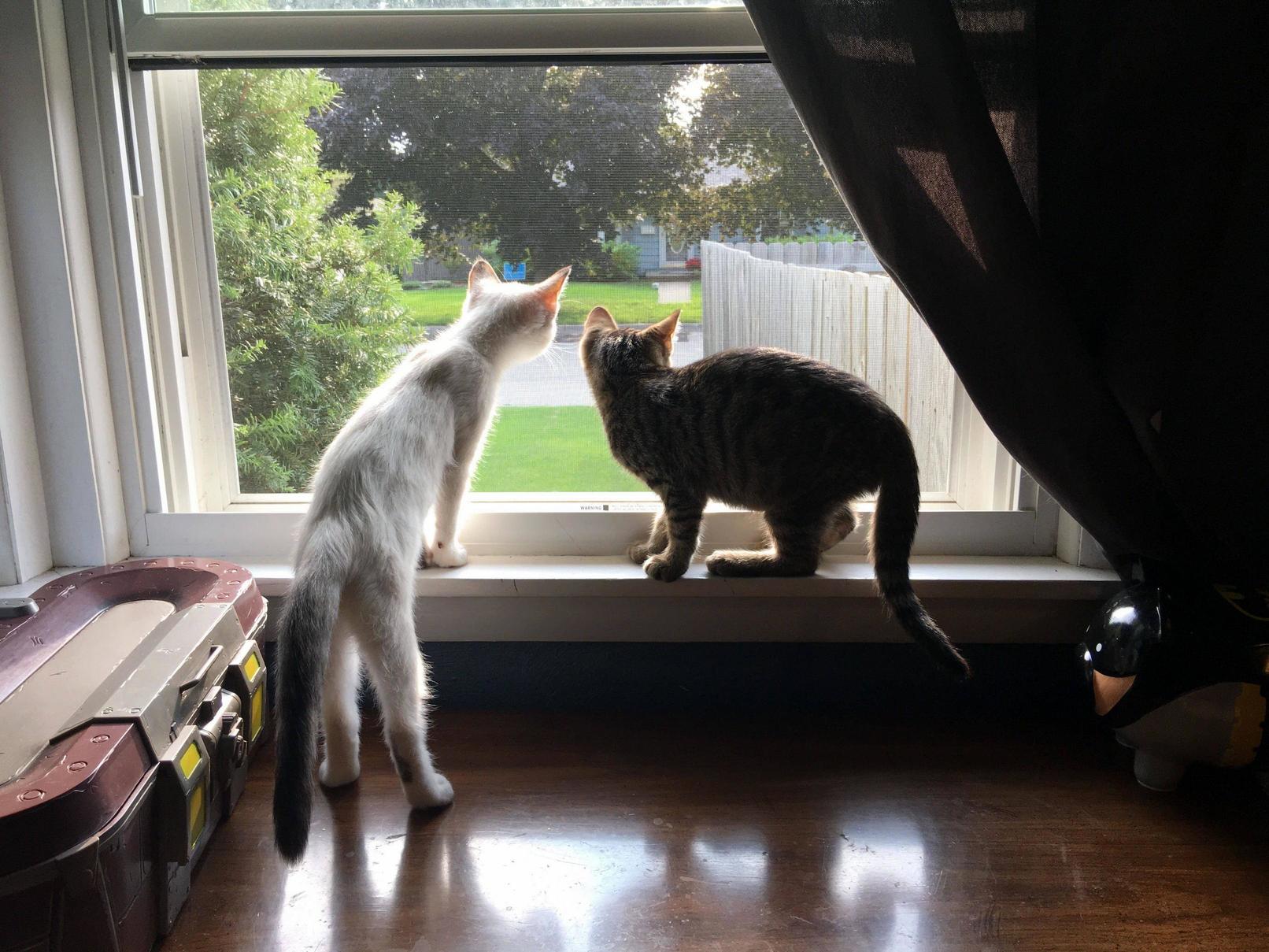 Whats Out There