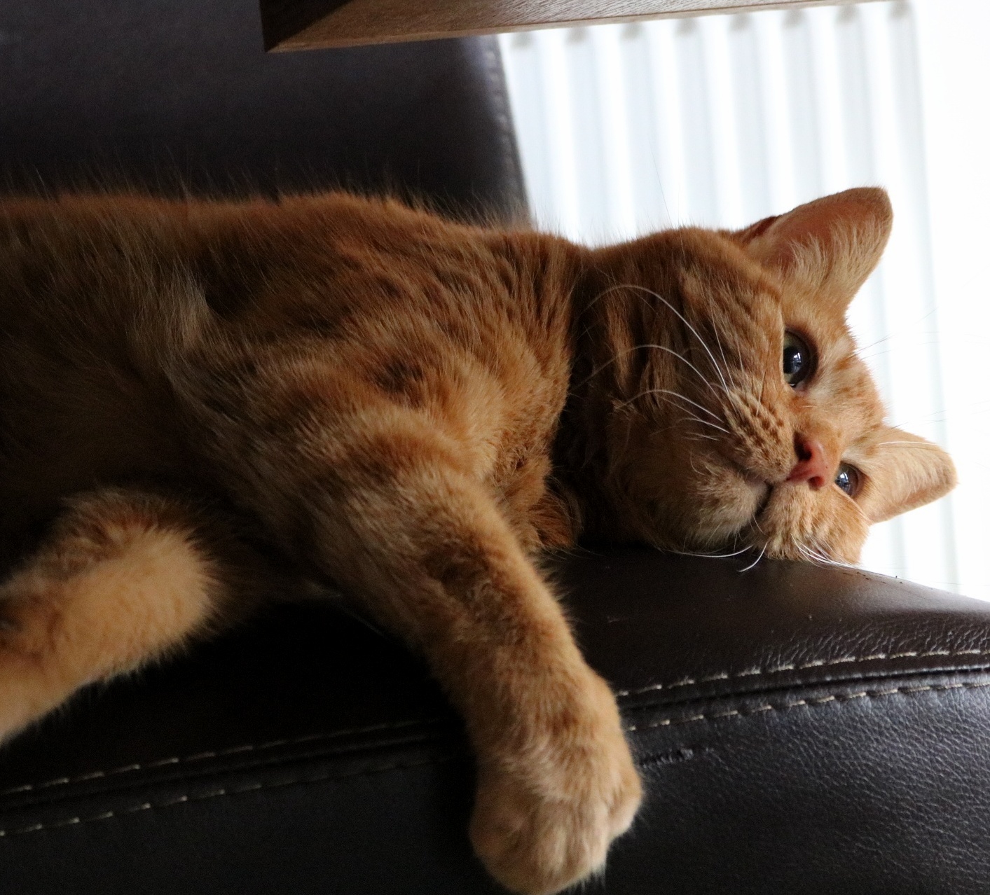 When He Has Those Deep Thoughts.