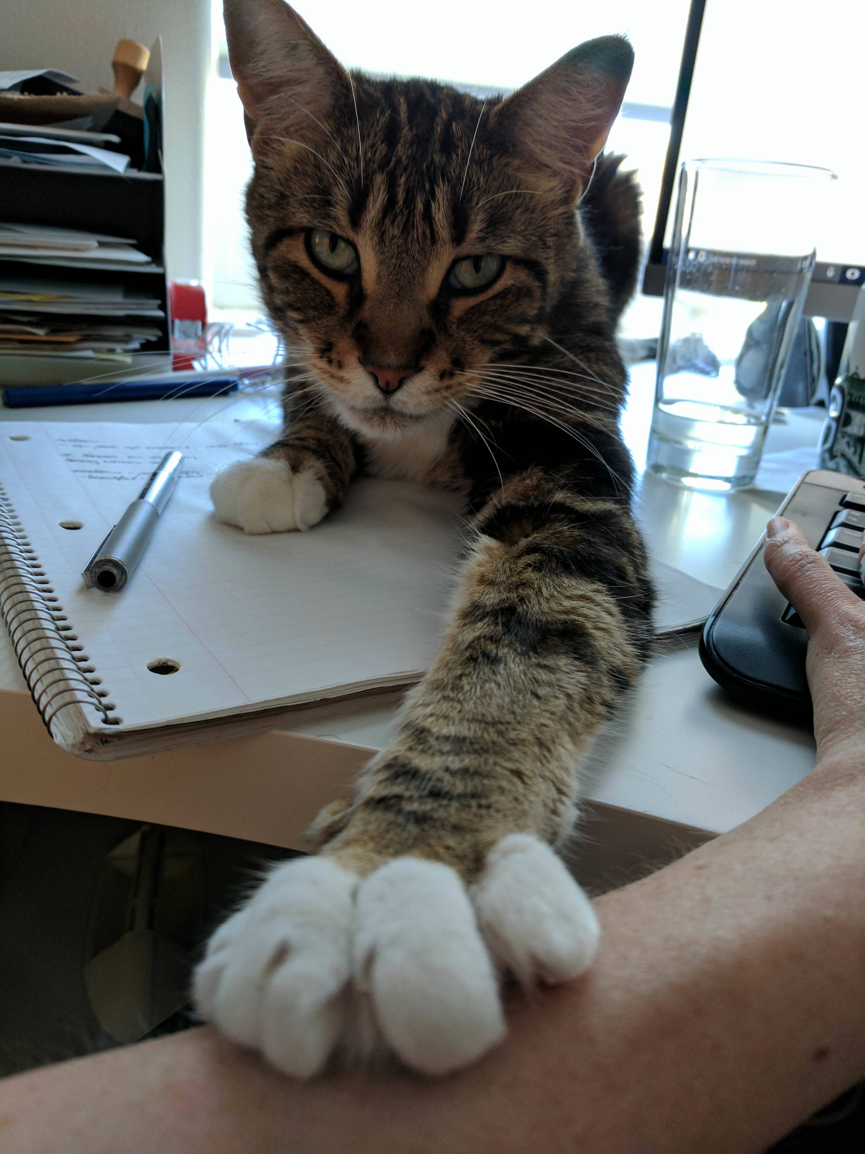 Where Do You Think Youre Going