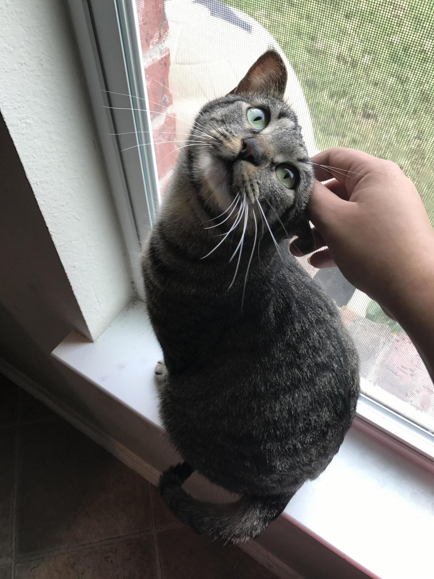 Why Do You Disturb My Daylight Basking