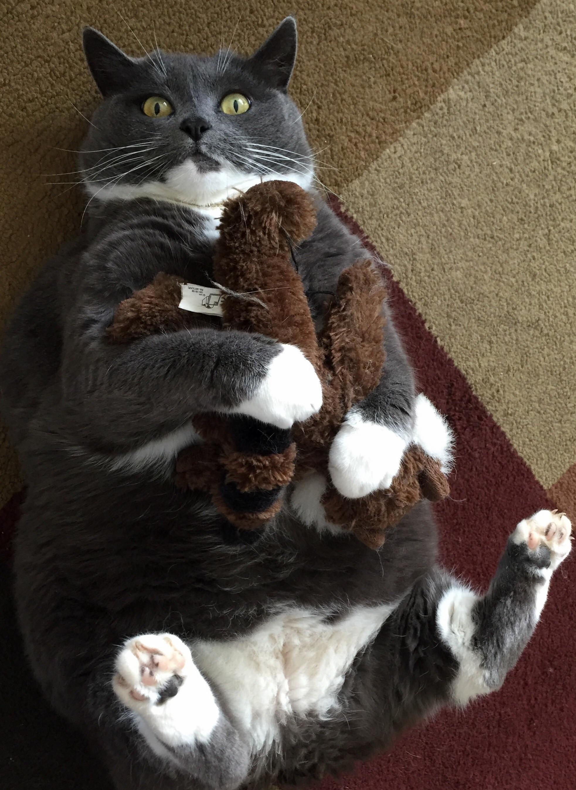 Yo Meet My Baby Lily Shes Nine Years Old and Super Chubby. I Ve Called Her Fatass for So Many Years Now That Its All She Responds To.....