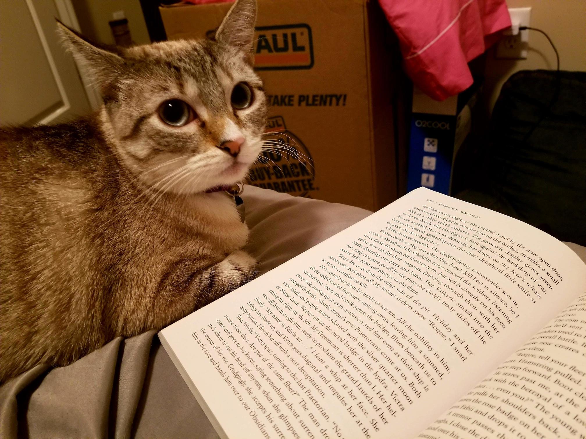 Zoey Appreciates Good Literature. She Thinks I Read Slow but Always Waits Patiently for Me to Turn the Page.