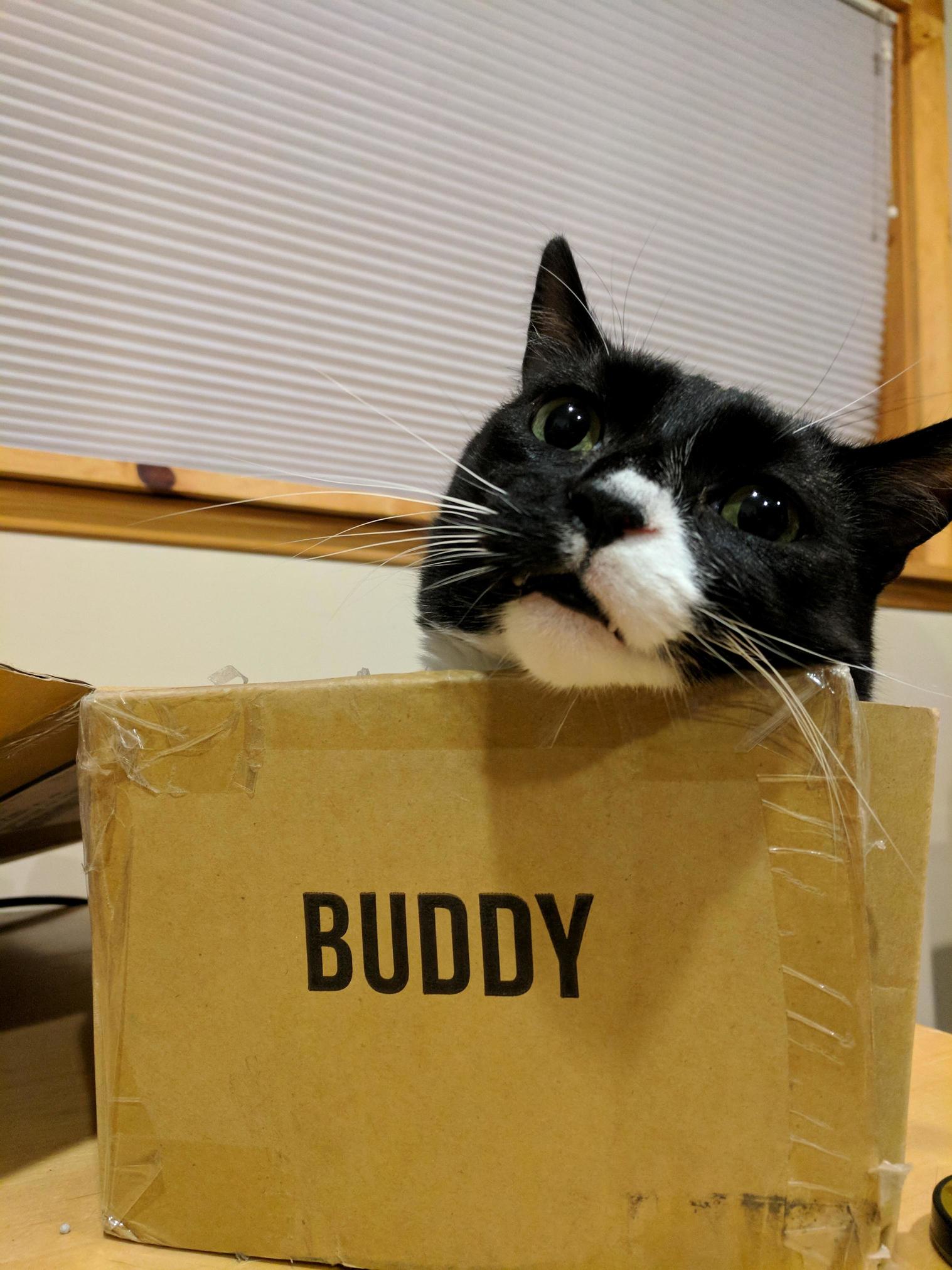 Box Buddy