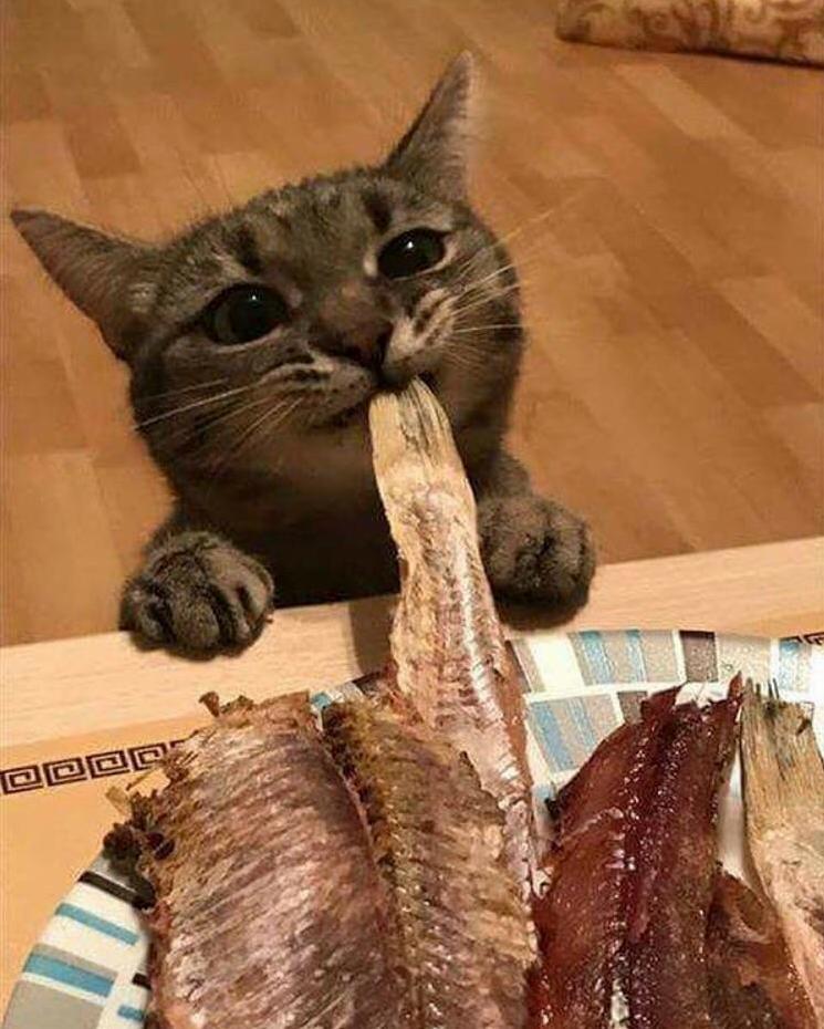 Cute Little Thief